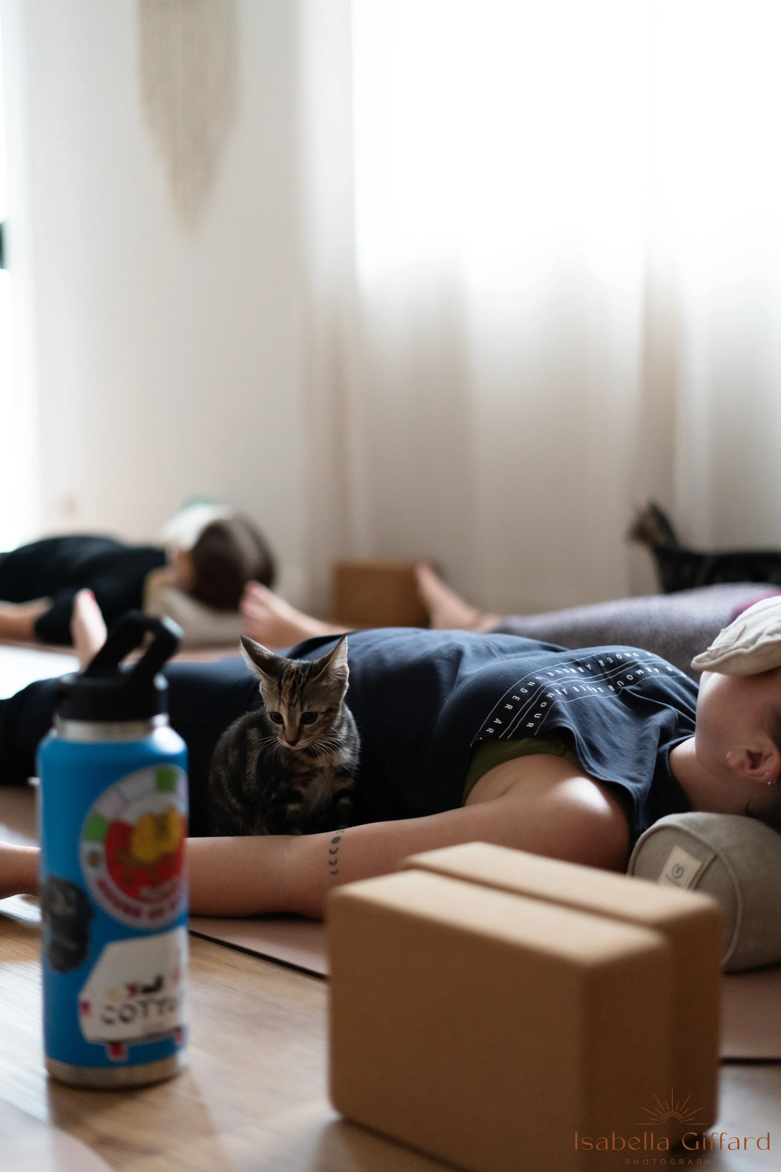 IGP Save A Paw NT with Ground and Flow Kitten Yoga-80.jpg