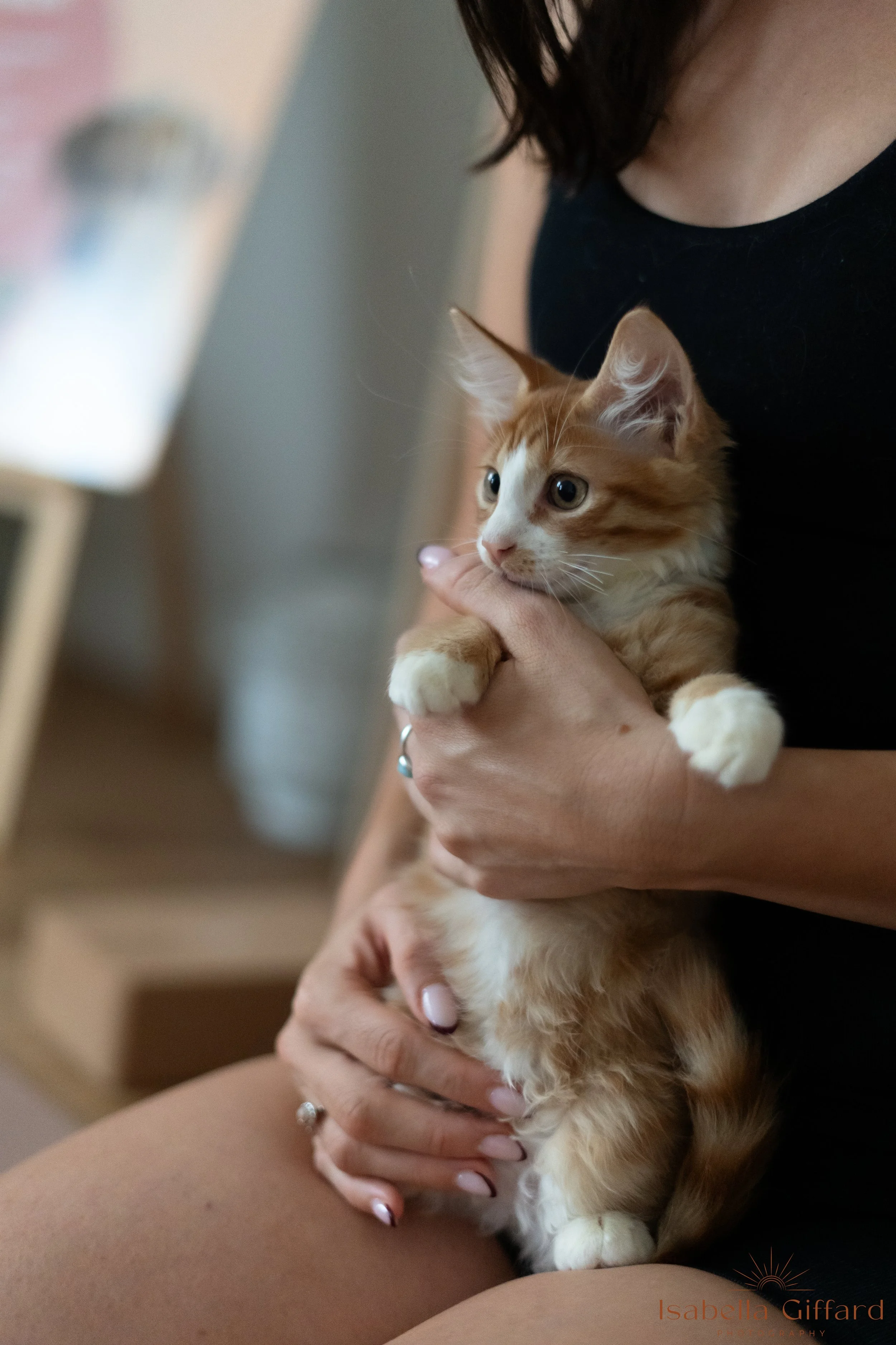IGP Save A Paw NT with Ground and Flow Kitten Yoga-86.jpg