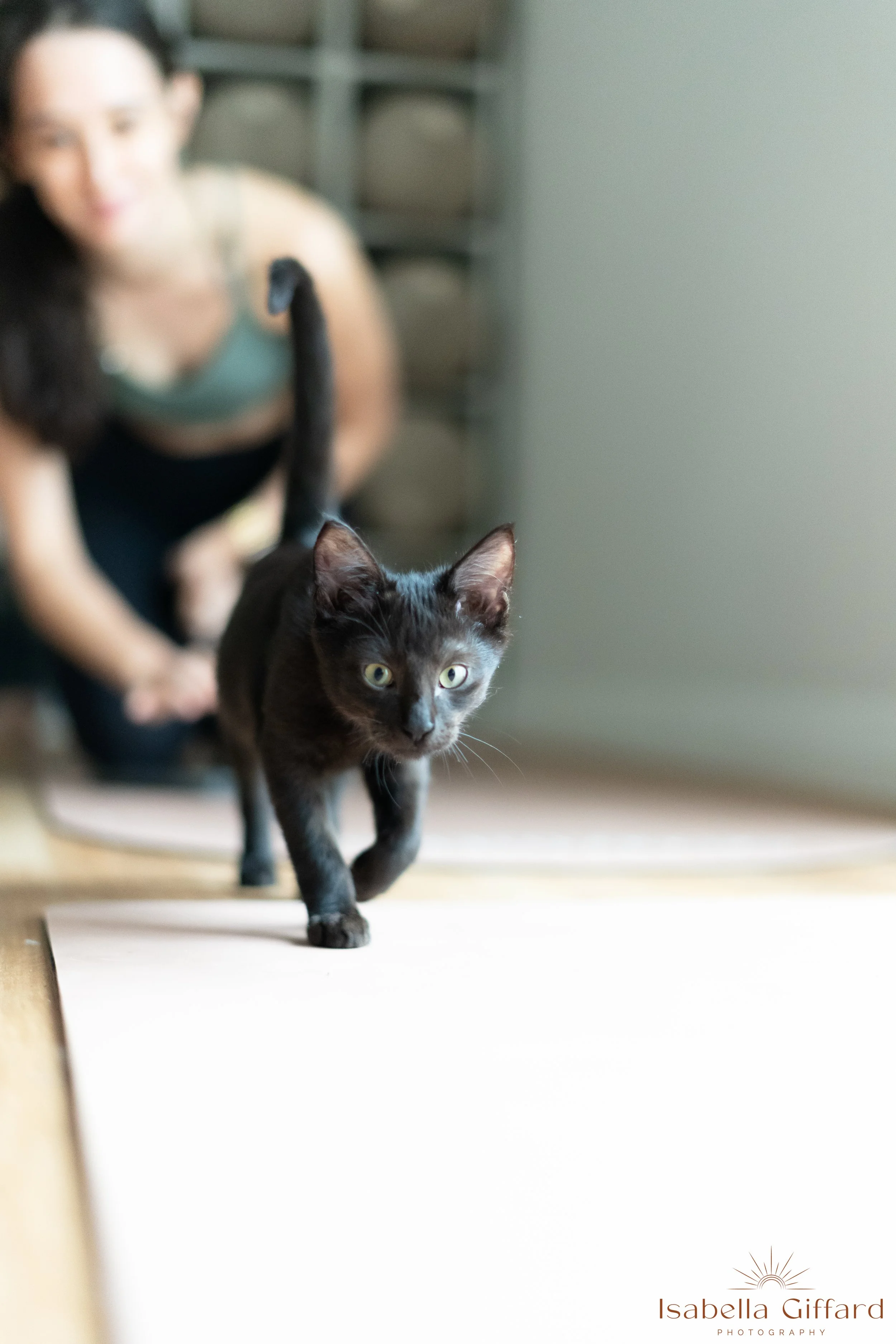 IGP Save A Paw NT with Ground and Flow Kitten Yoga-119.jpg