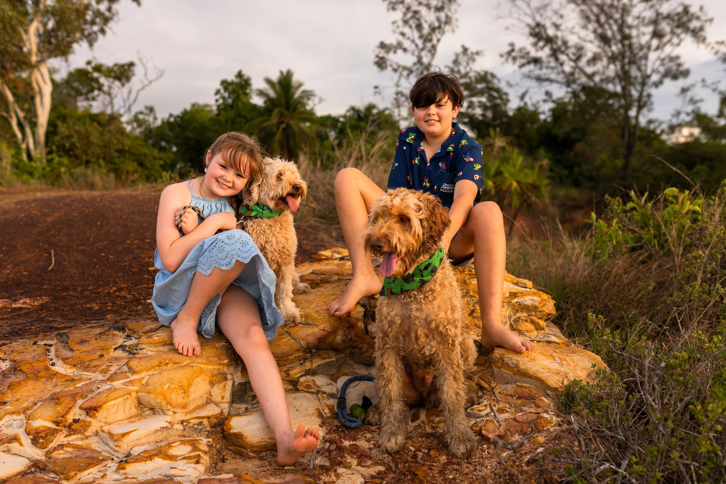 Two children, a girl and a boy, sitting outdoors on a rocky surface with two fluffy dogs, in a natural setting with trees in the background during daytime.