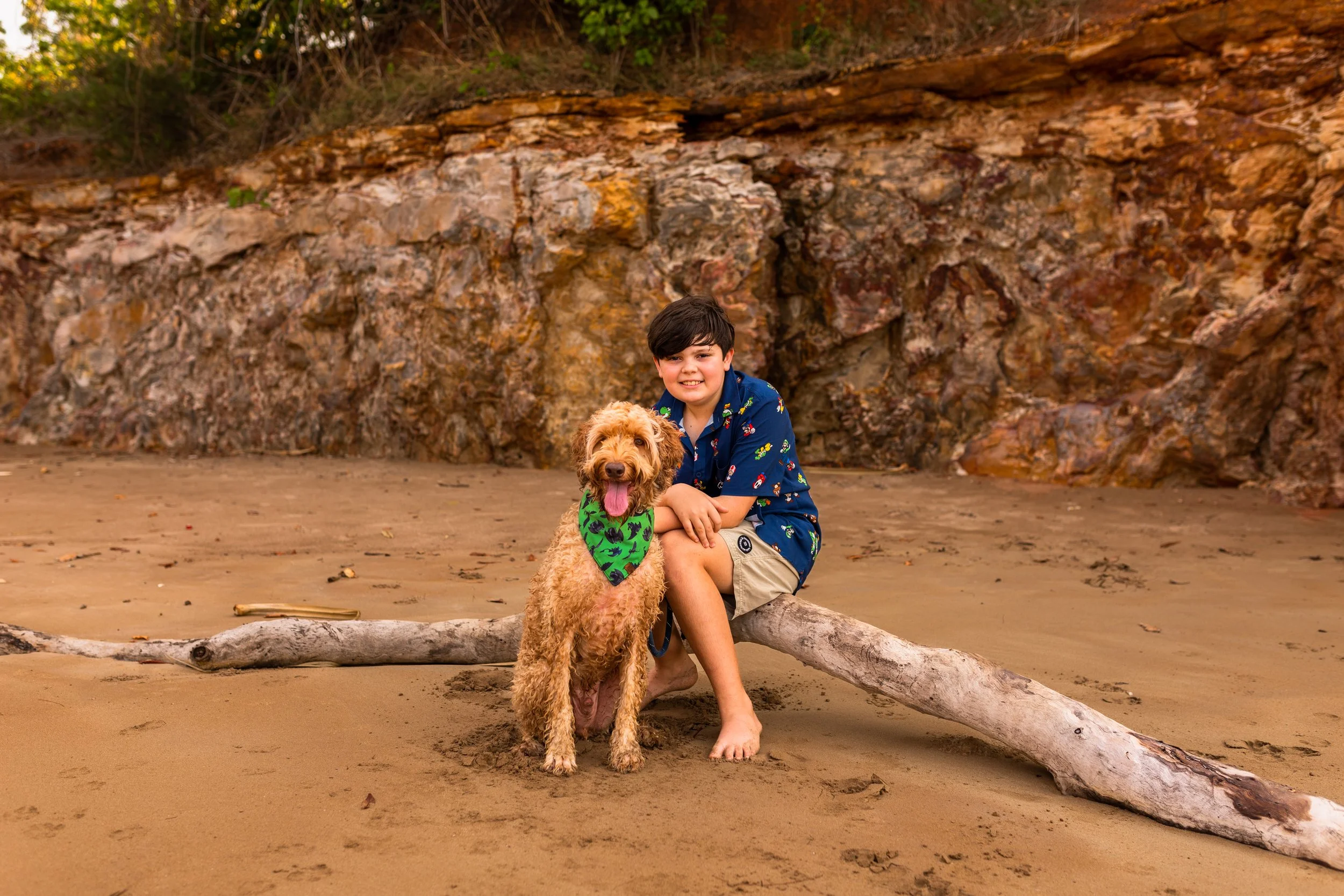 A boy sitting on a log on a beach with a golden retriever dog, near a rocky cliff and driftwood.