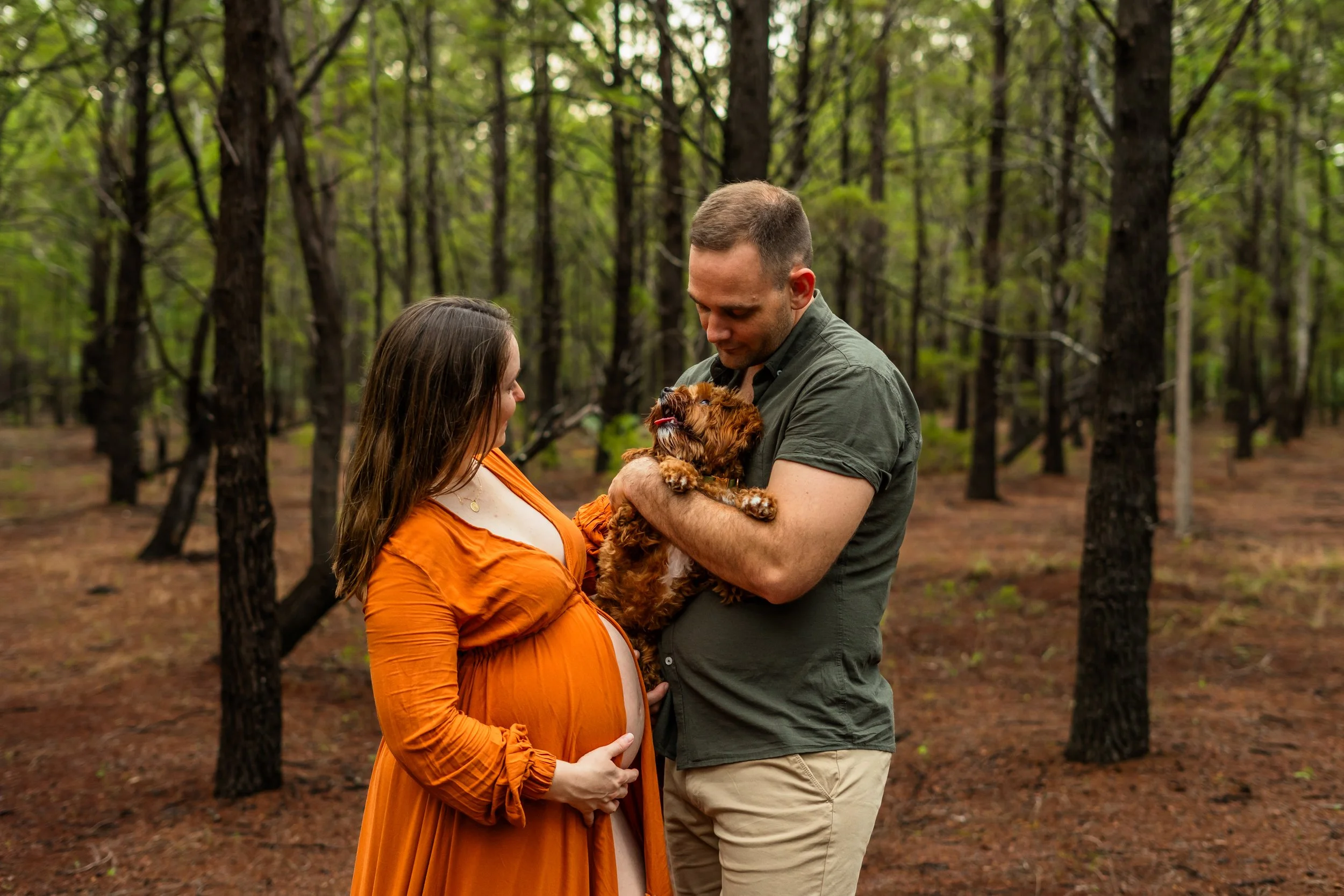 A pregnant woman with long brown hair, wearing an orange dress, standing in a forest and looking at a man. The man, with short brown hair and wearing a gray shirt, is holding a small brown dog and smiling at the woman. The background features tall tr
