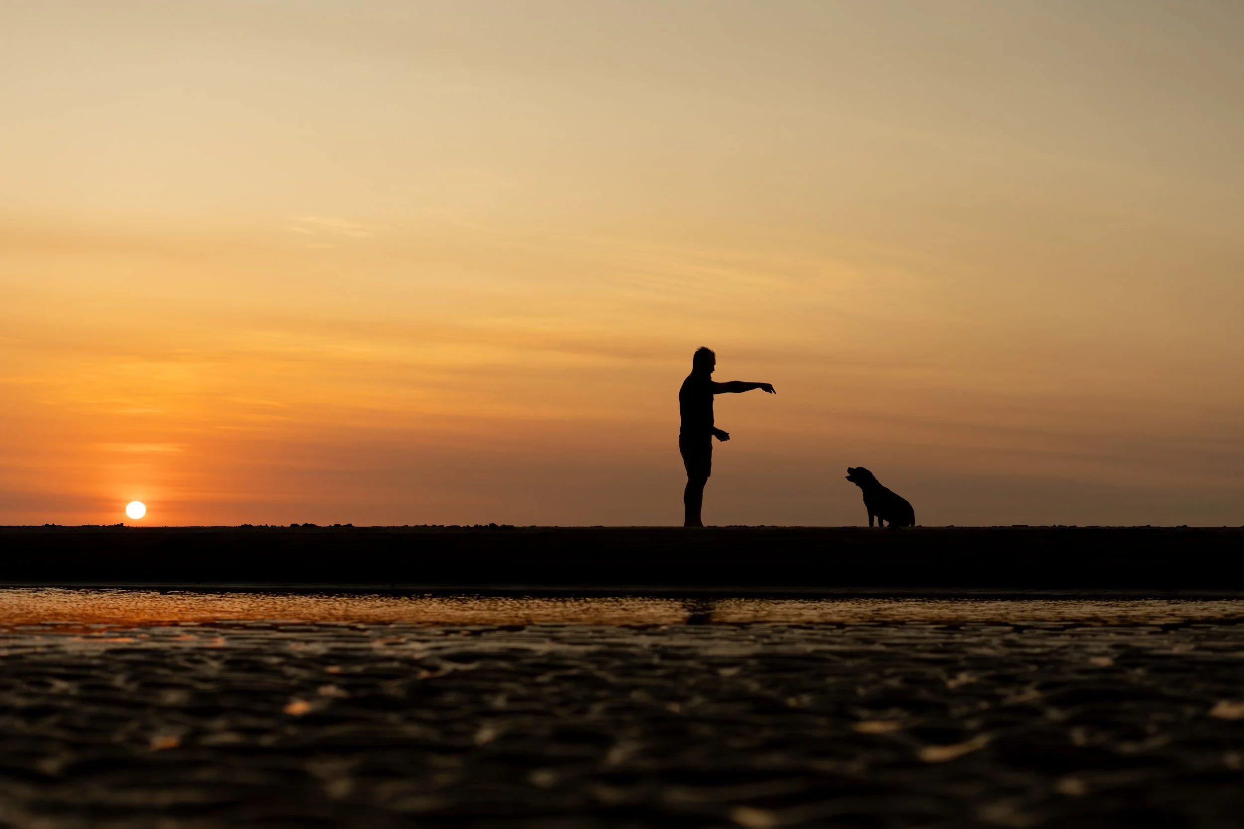 A person and a dog standing on a beach at sunset, with the person pointing while the dog looks at them, silhouetted against a colorful sky.