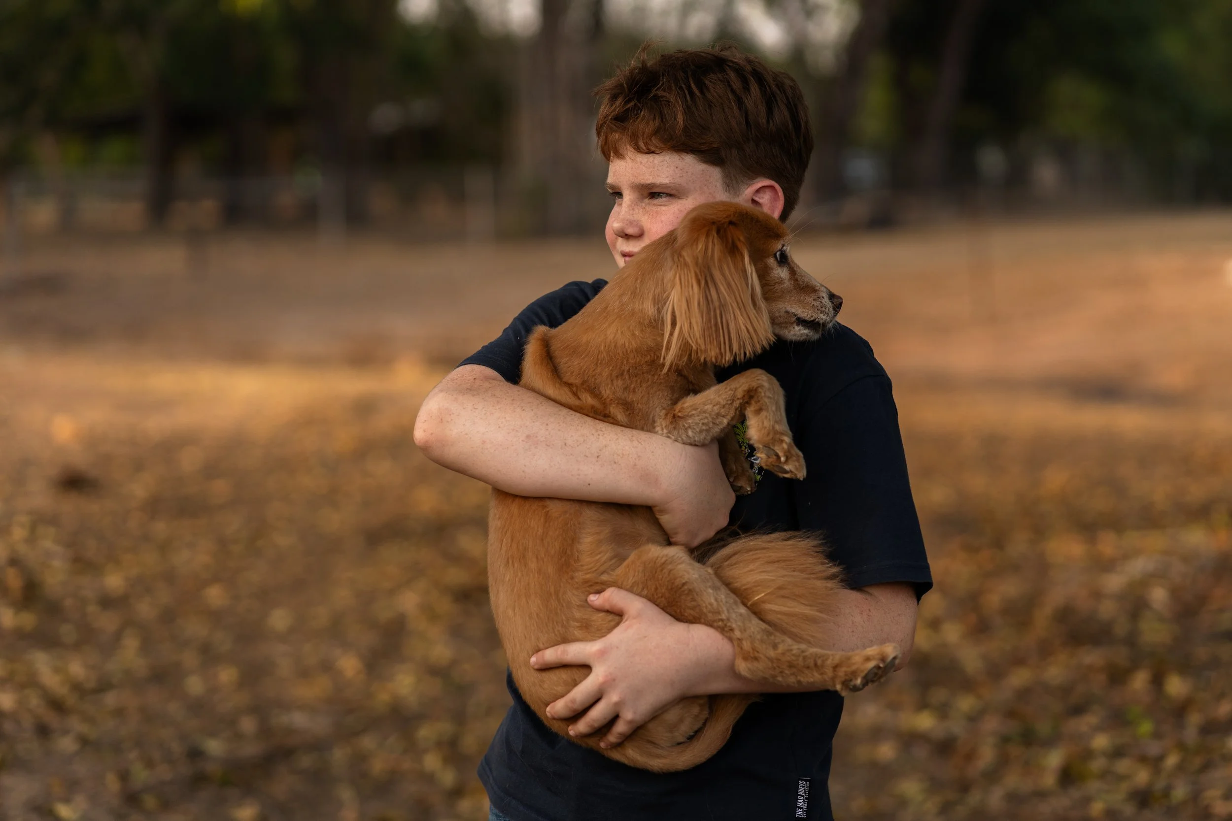 A young boy with short brown hair and freckles is holding a small, reddish-brown long-haired dachshund dog in his arms. The boy is wearing a black shirt and is standing outdoors with blurred trees and fallen leaves in the background.