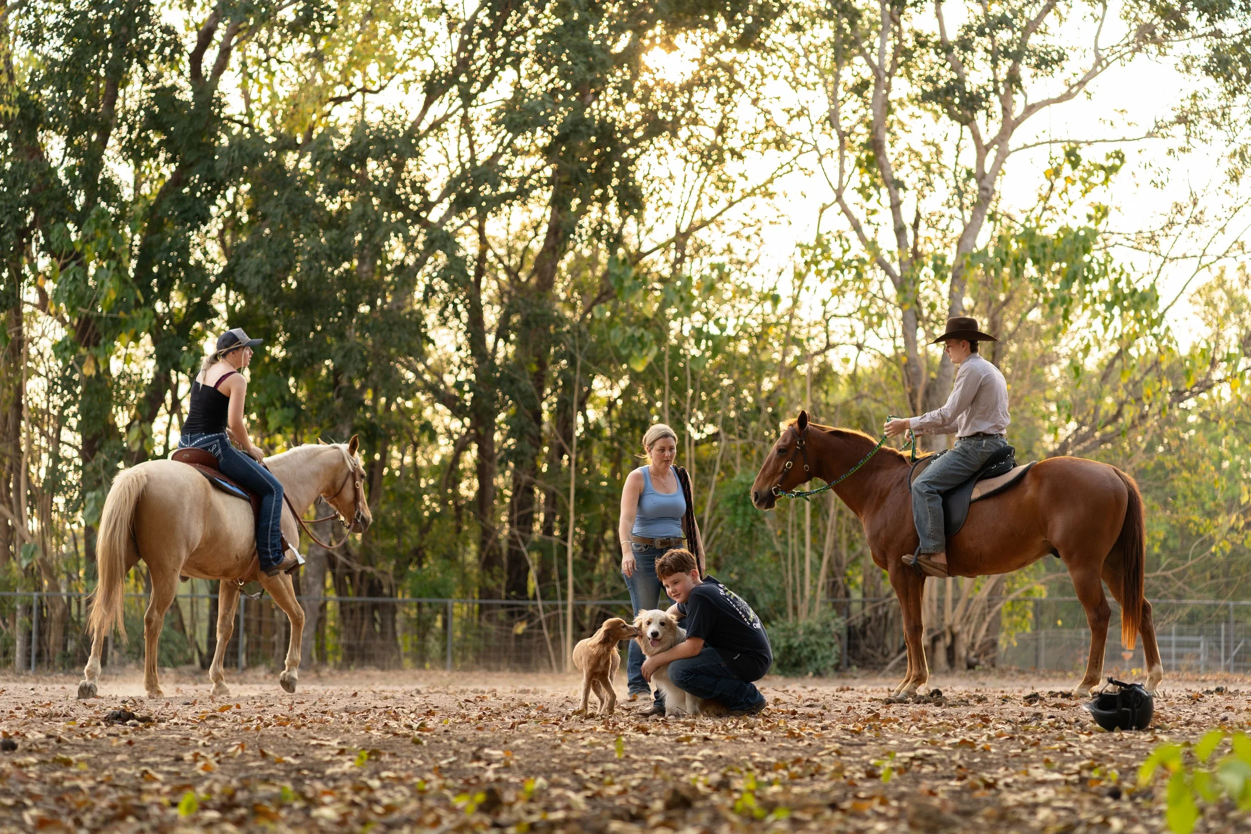 People and children with dogs and horses in a park or riding area surrounded by trees during sunset.