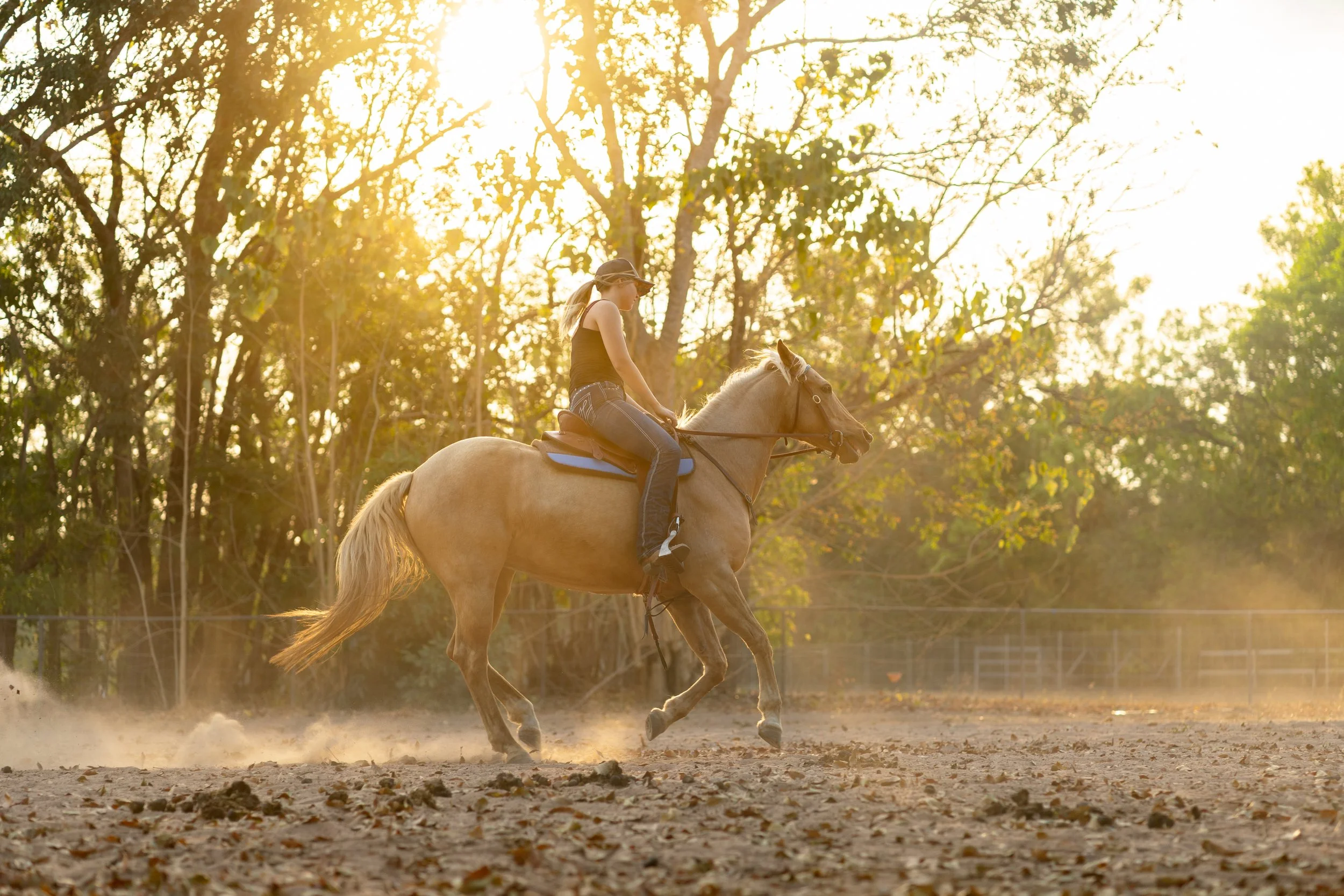 IGP Amy horse test shoot-44.jpg