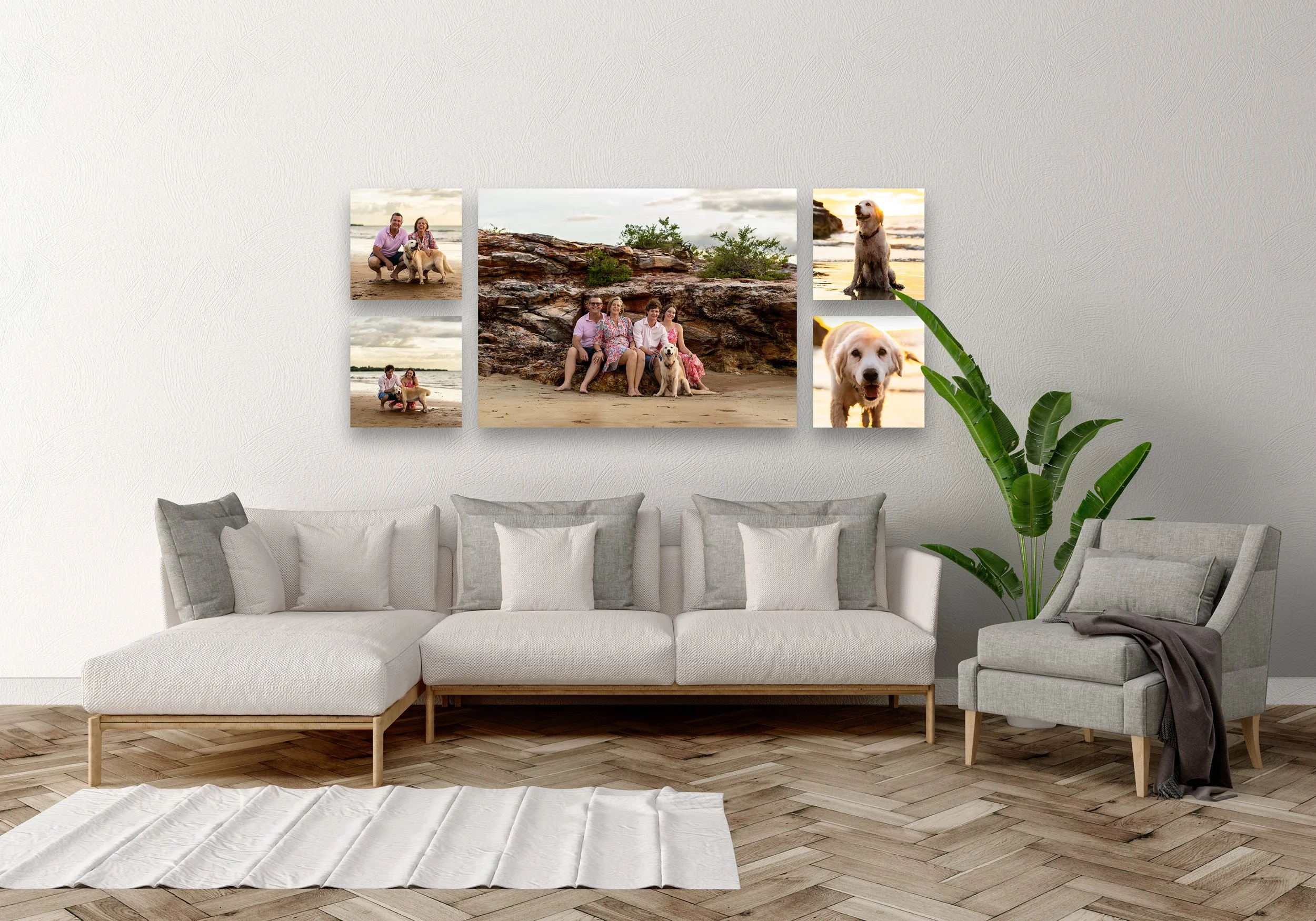A living room wall with a beige quilted sofa and cushions, decorated with a multi-photo collage of outdoor family and dog photos at the beach, next to a green potted plant.