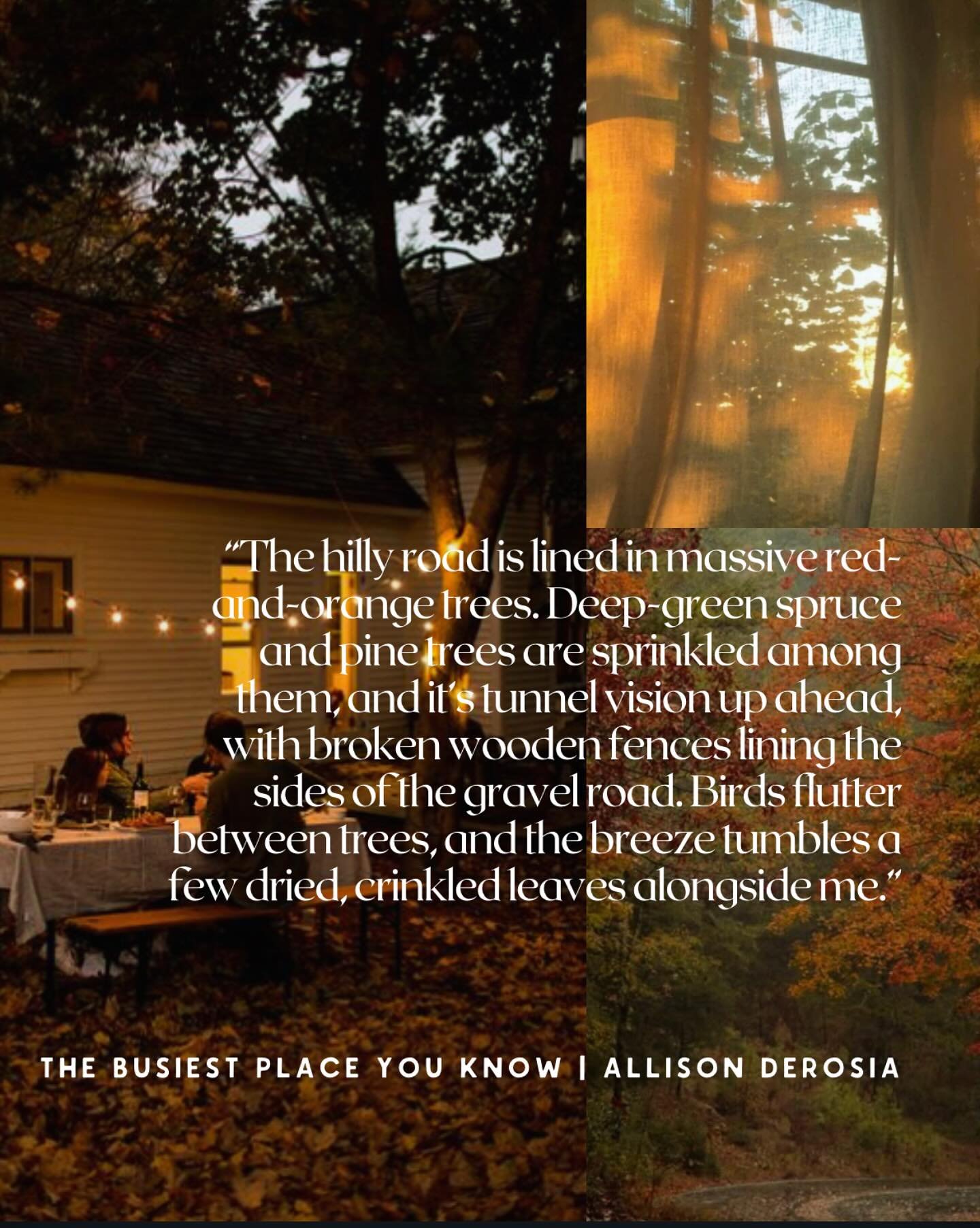 Wishing for fall today. 
#indieauthor #michiganauthor #michiganbook #romanceauthor #romancebooks #thebusiestplaceyouknow #allisonderosia