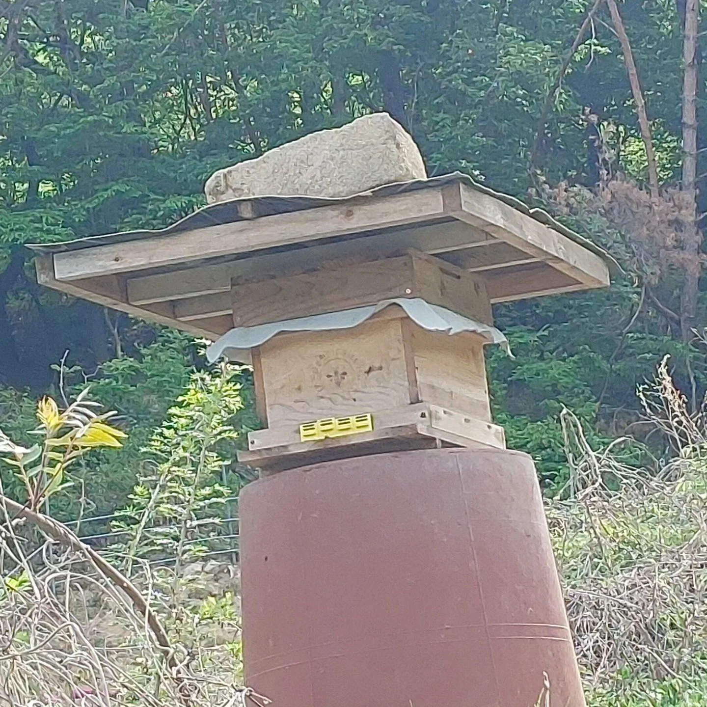 Korean Native Honey Bee Single Colony w/Queen: 토종벌통 밋 토종벌