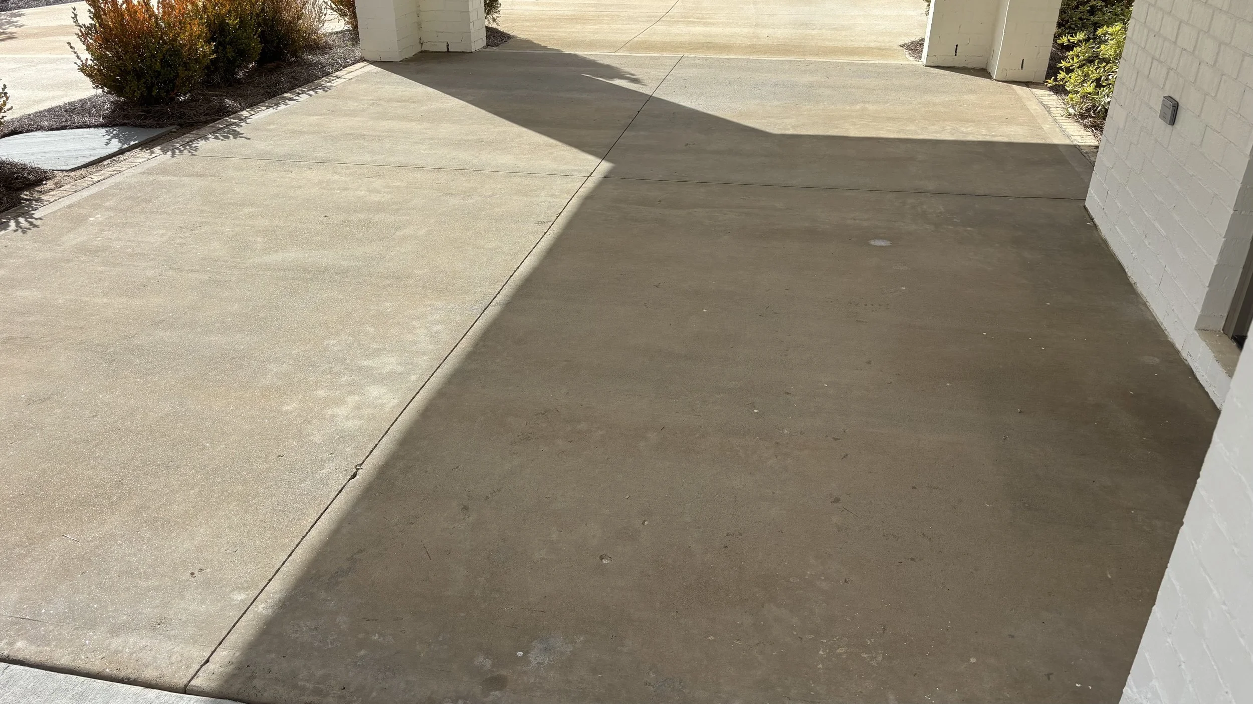 Concrete walkway with shadows and minimal foliage