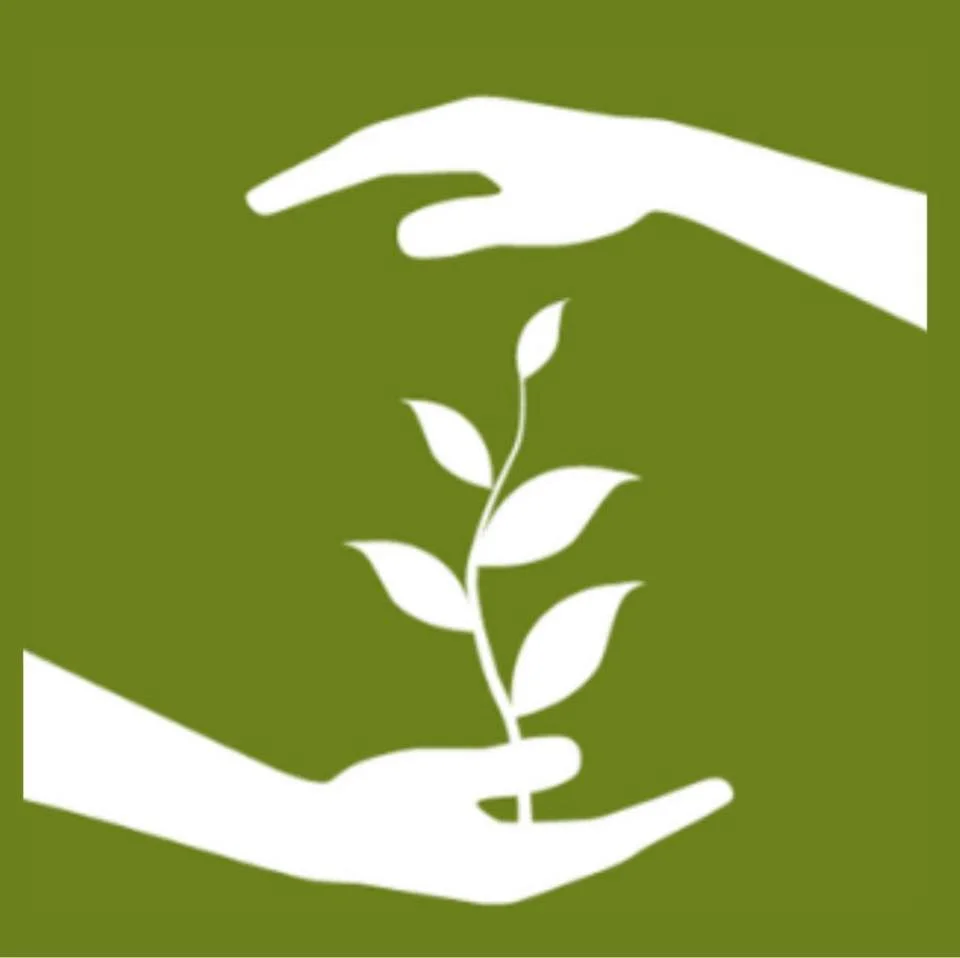 Market Match | Harrisonburg Farmer's Market Digital Interactive Ads