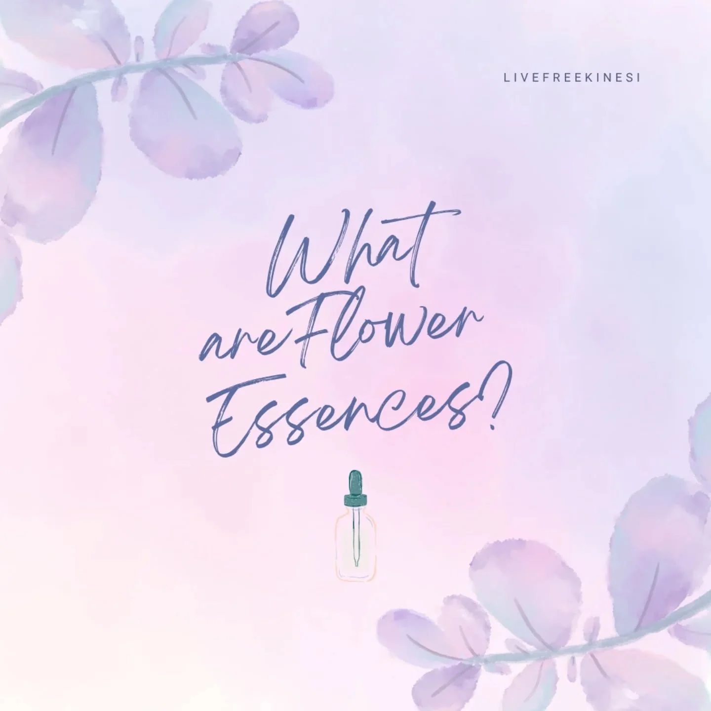 Flower essences are one of my favourite tools for gentle, deep healing
They’re vibrational remedies made from the energetic imprint of flowers — not their scent or oils — and they work with your energy field (aura) to gently releas