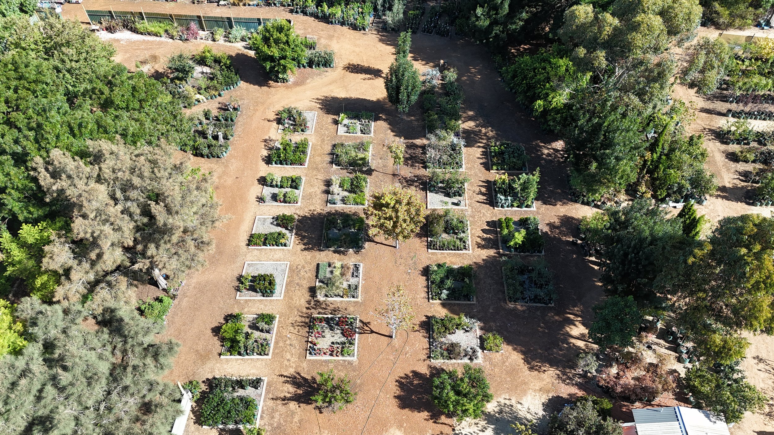 Aerial view of a nursery or garden center with rows of potted plants and trees, surrounded by dirt paths and dense green trees.