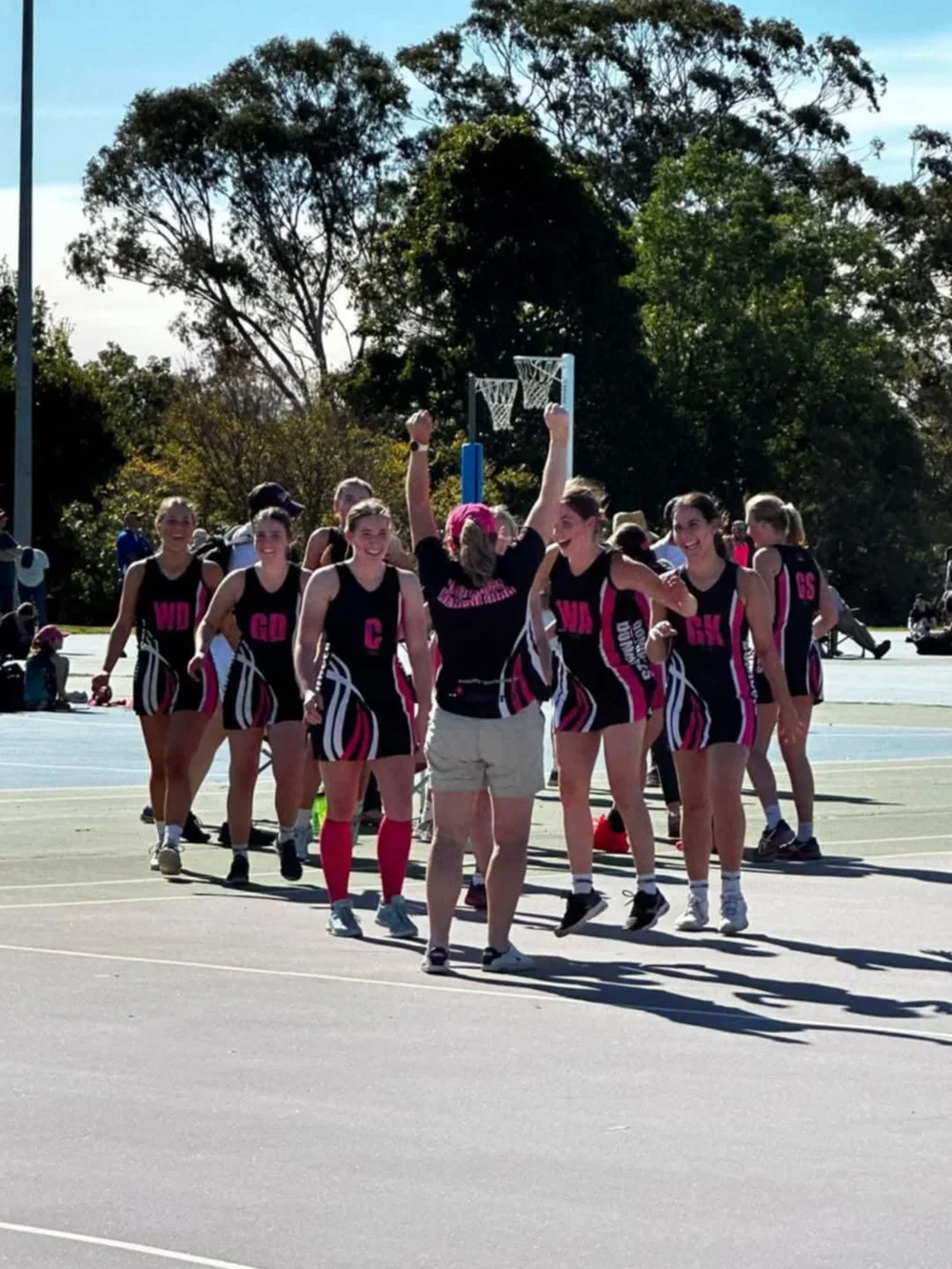 Competitions — Dominoes Netball Club