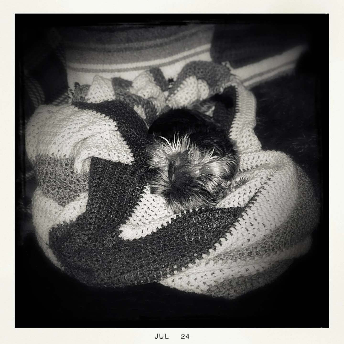Benji&rsquo;s ready for bed. 🌙❤️