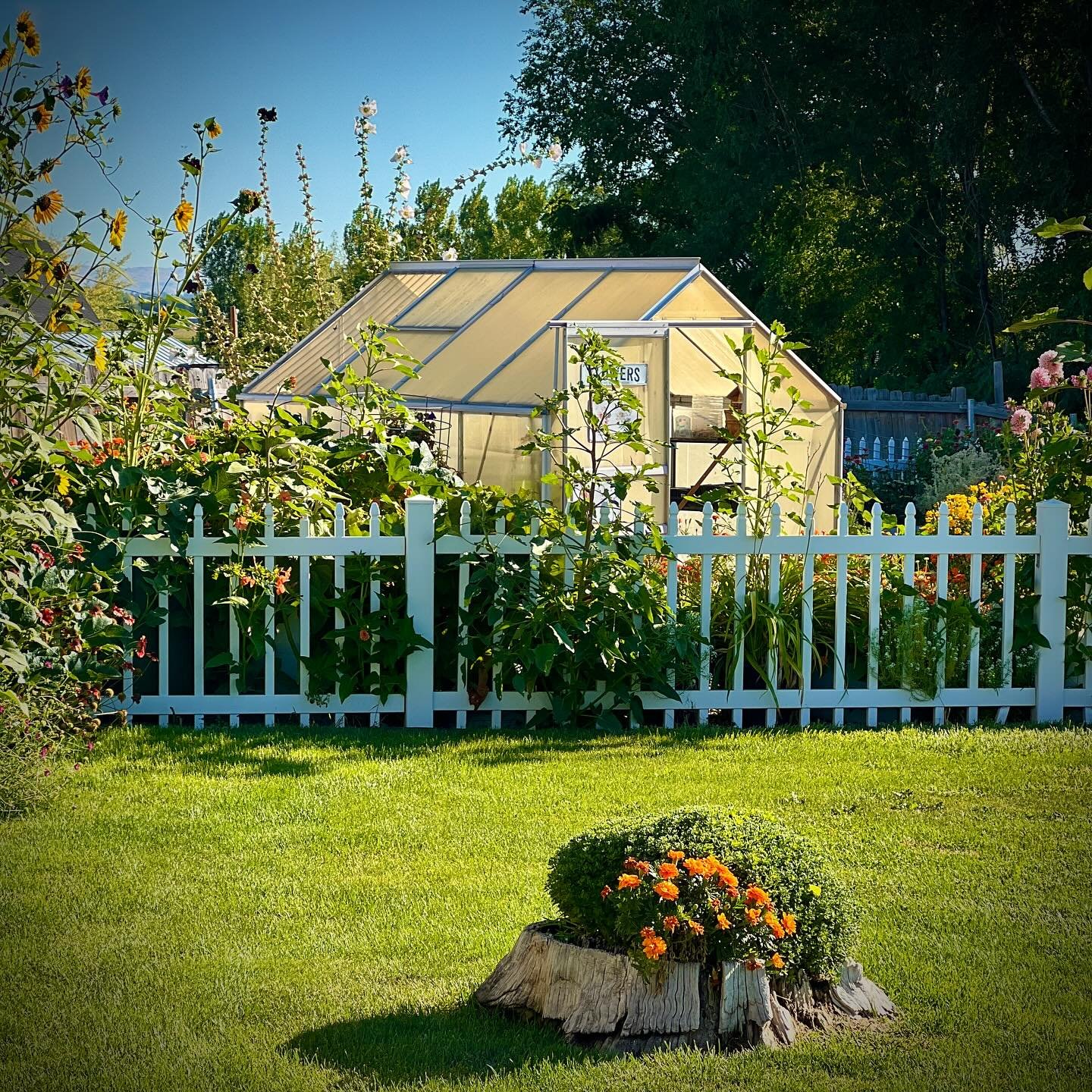 Good morning, world!