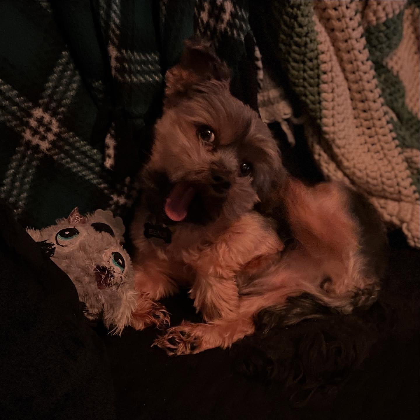 &ldquo;CHEEESE!!!&rdquo;