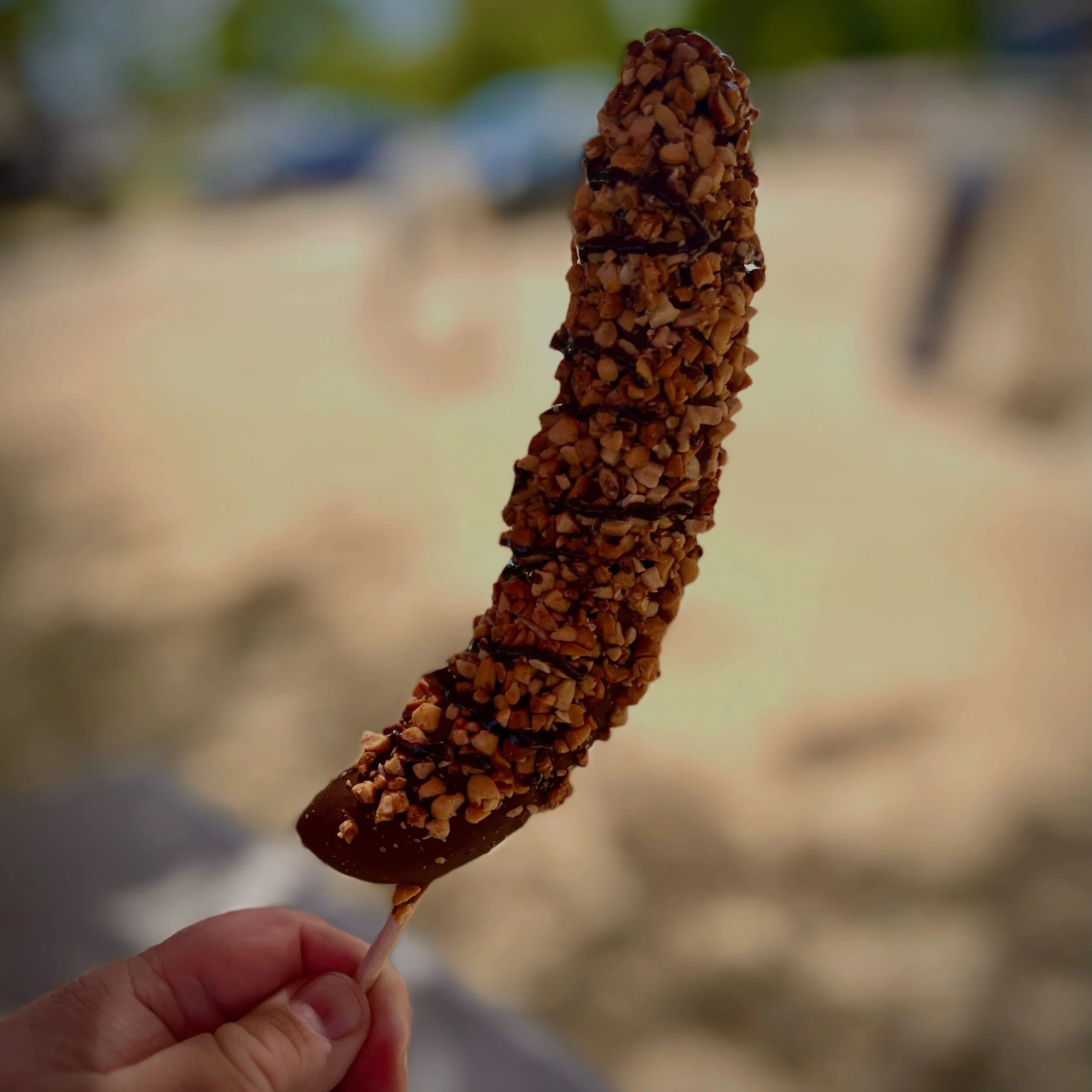 Amy treated the two of us to a couple of dipped frozen bananas from the DIPS food truck! SO good! Brings back fond memories of being a kid in San Diego.