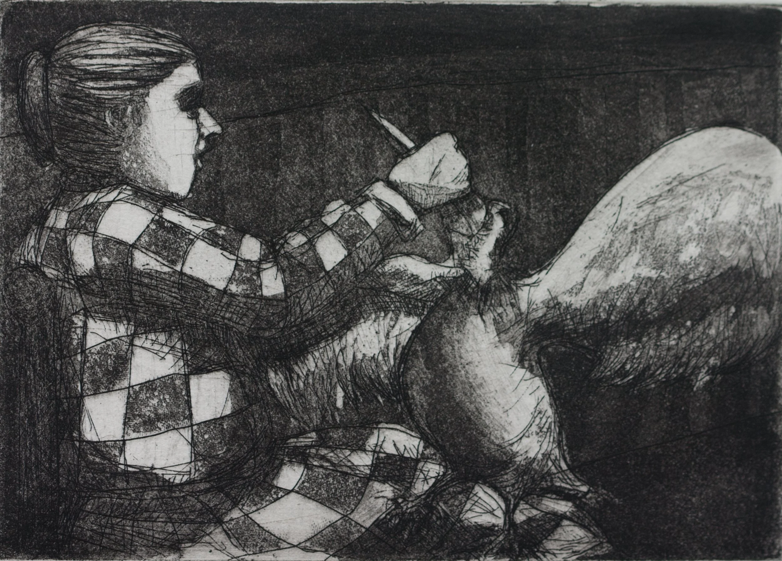 Captive • 2017 4.875 x 6.875 inches