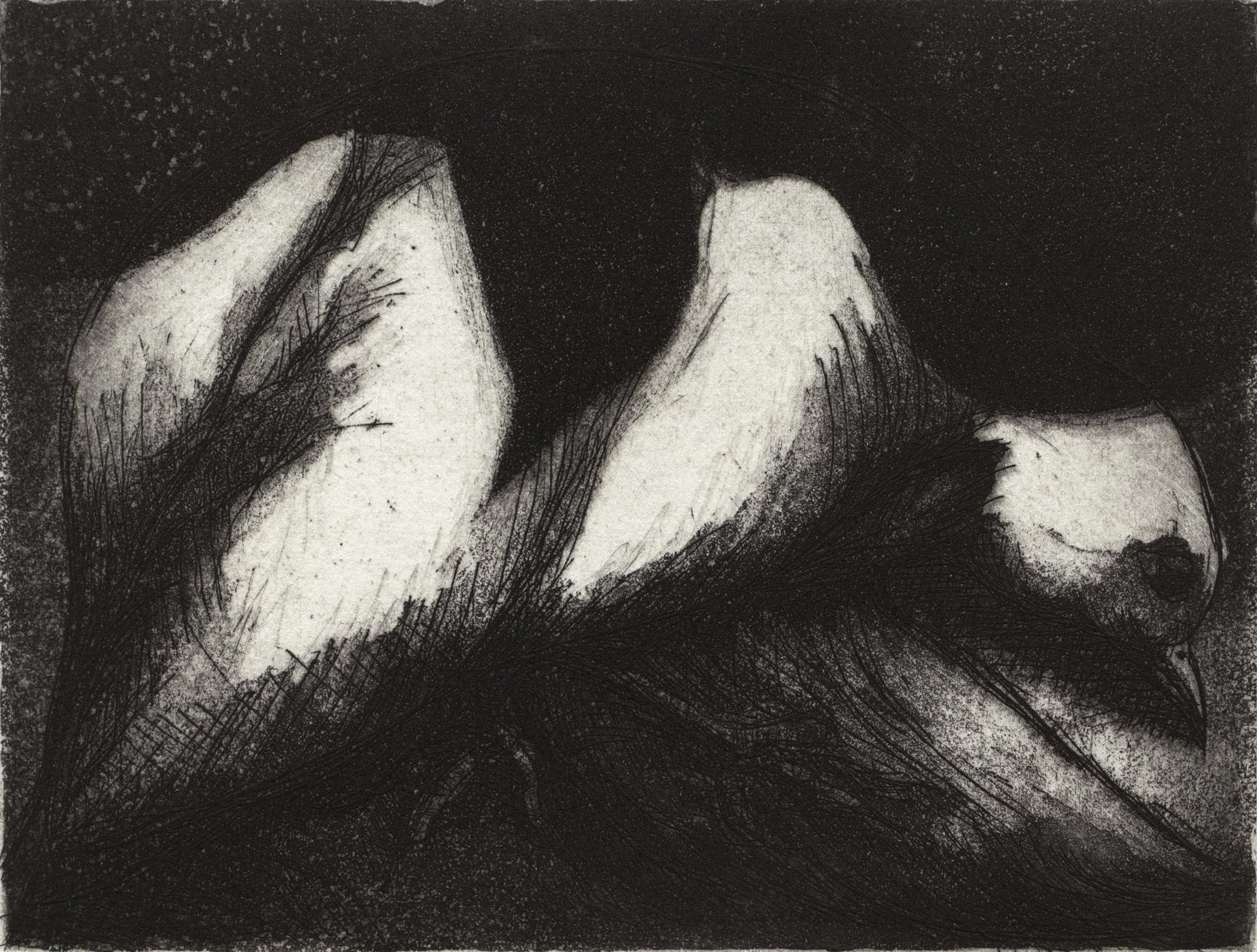 Gone • 2020 • 4.5 x6 inches