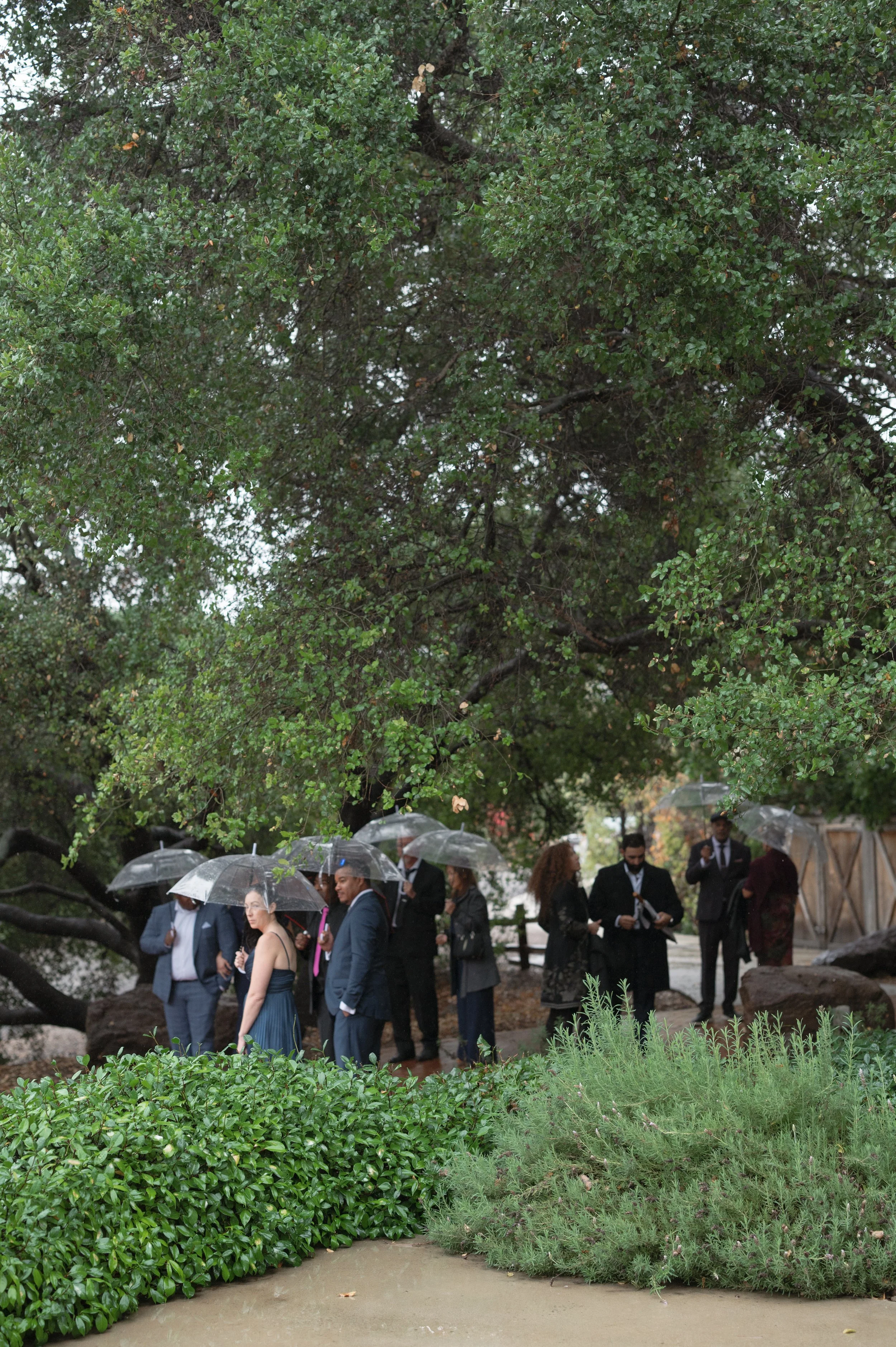 kiara and erik_11142025_erica streelman photo-627.jpg