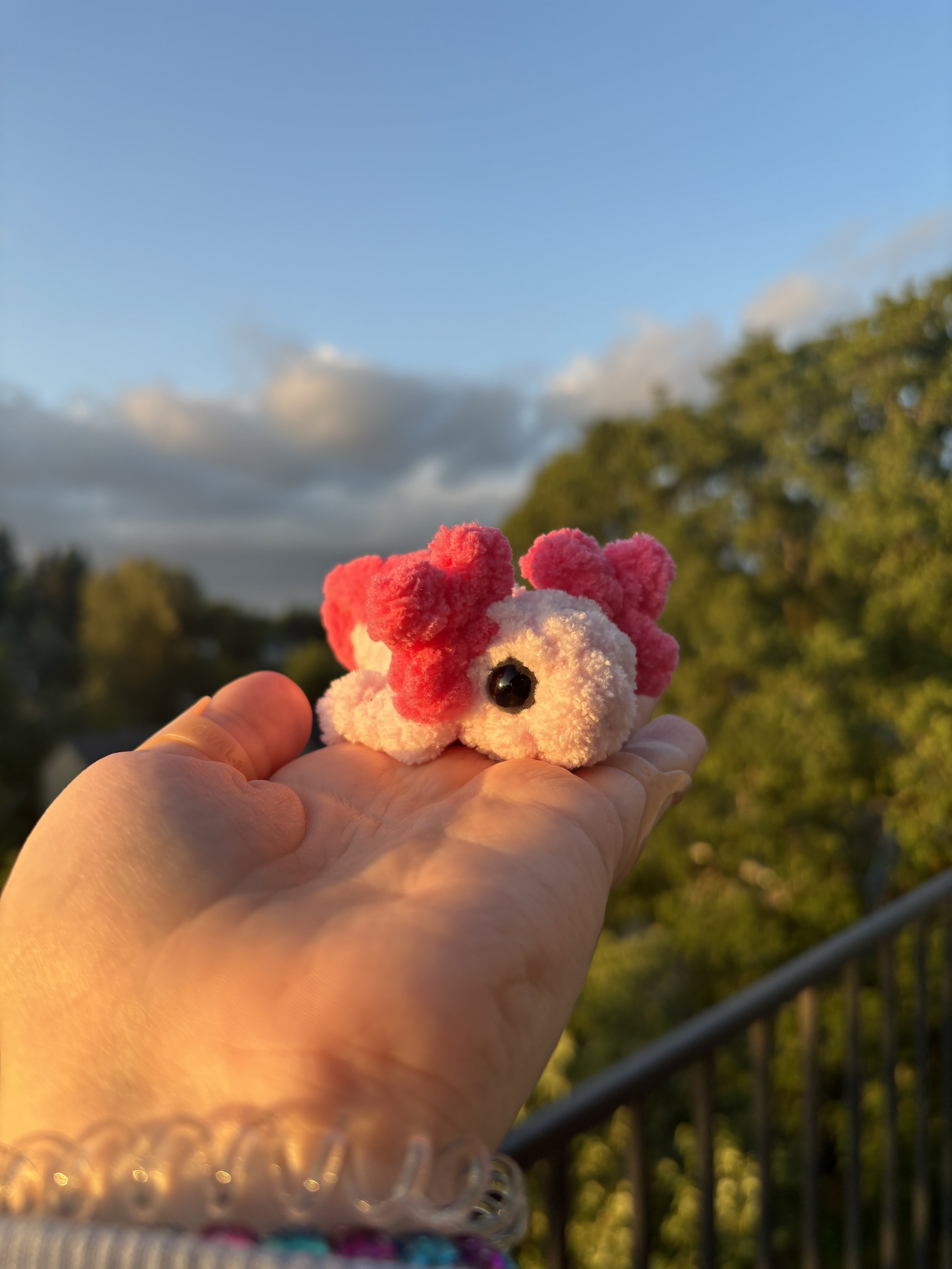 IMG_0532.jpeg