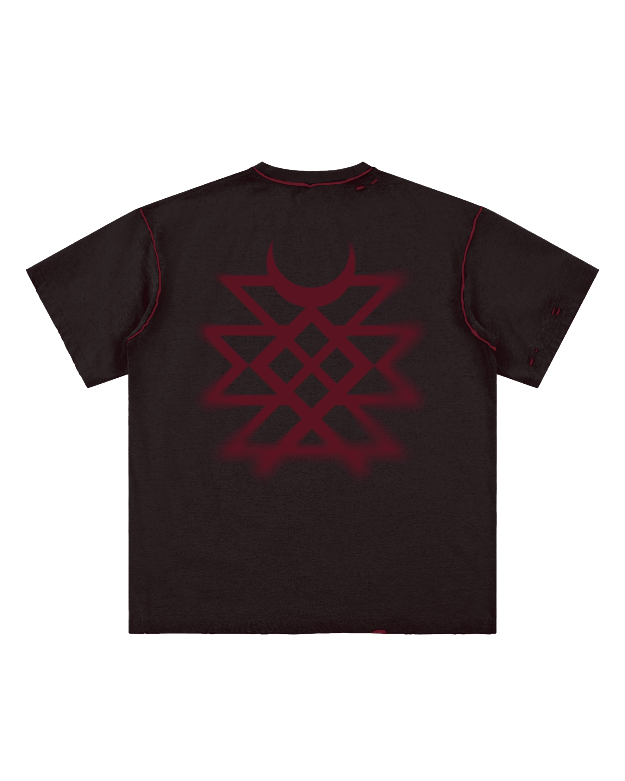 Frayed T-Shirt Back.png
