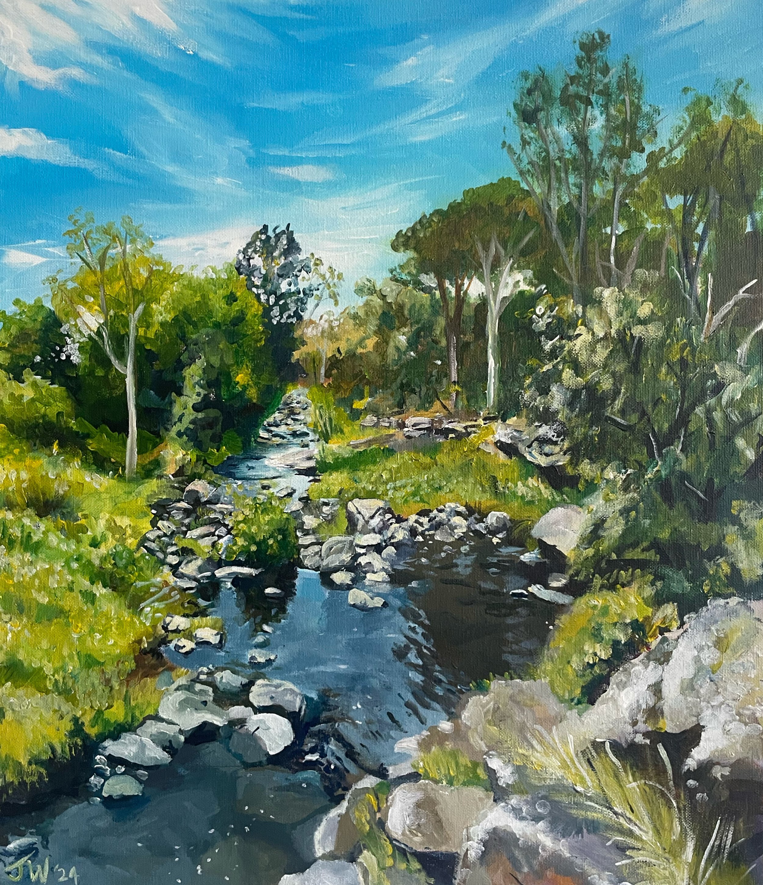 Darebin Creek View From Bridge