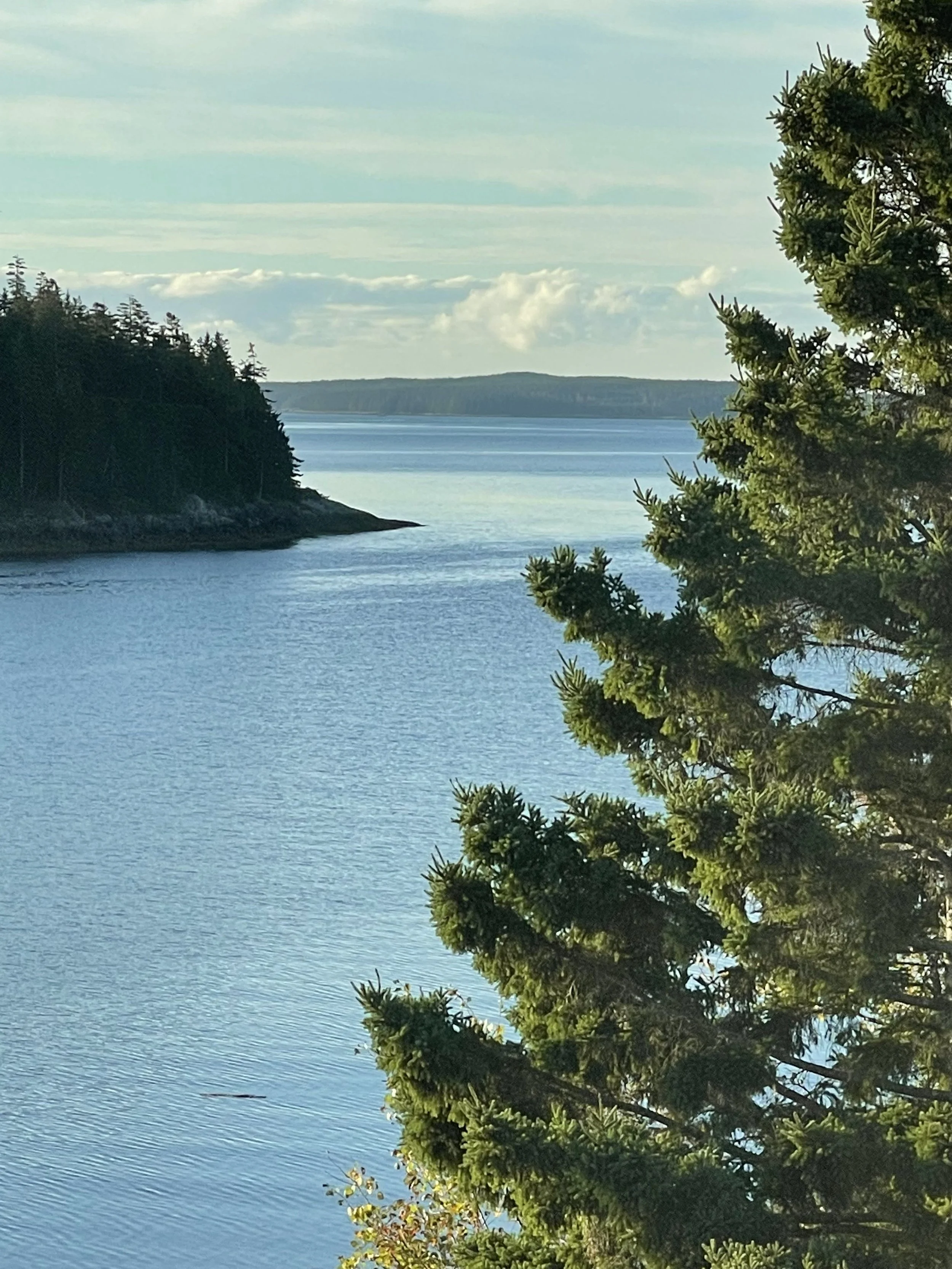 The real value of bi-directional loyalty in a host community you care about