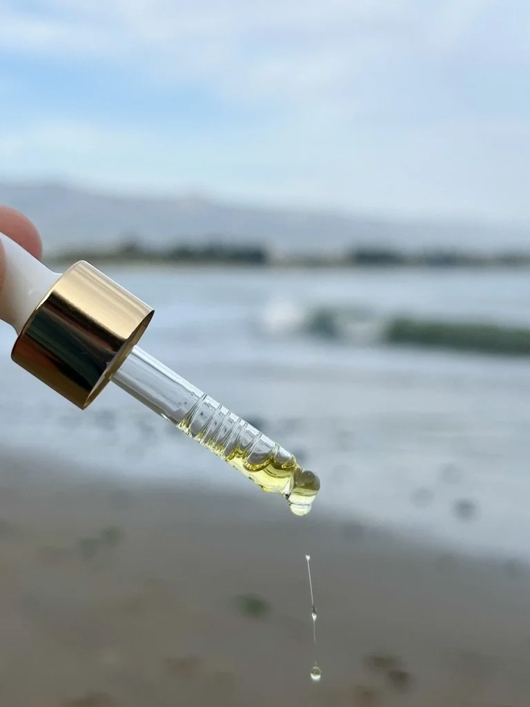 oil_beach.jpg