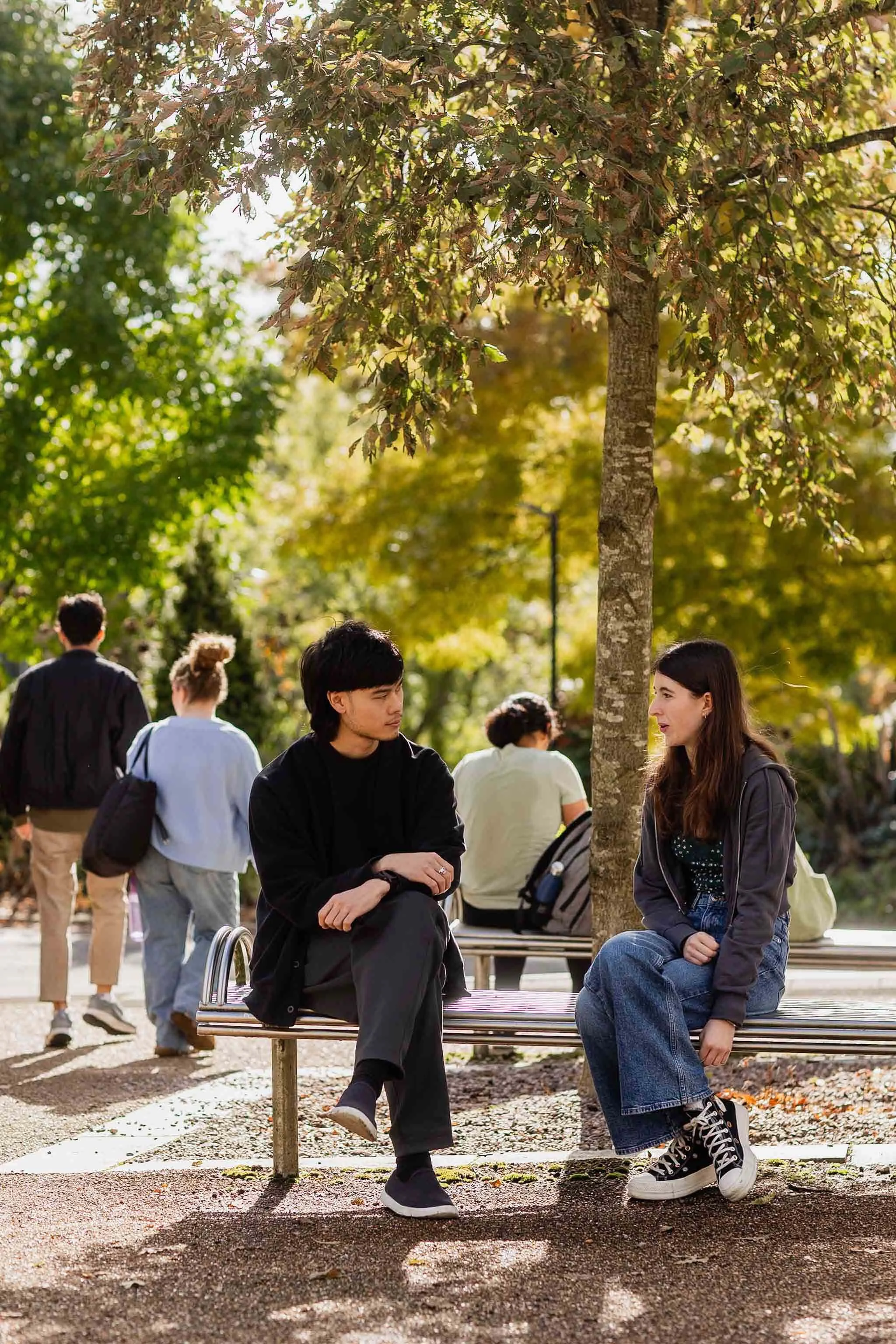 A group of young people socializing in a park on a sunny day, with two seated close to each other on a park bench and others walking or standing in the background, surrounded by trees with green and autumn-colored leaves.