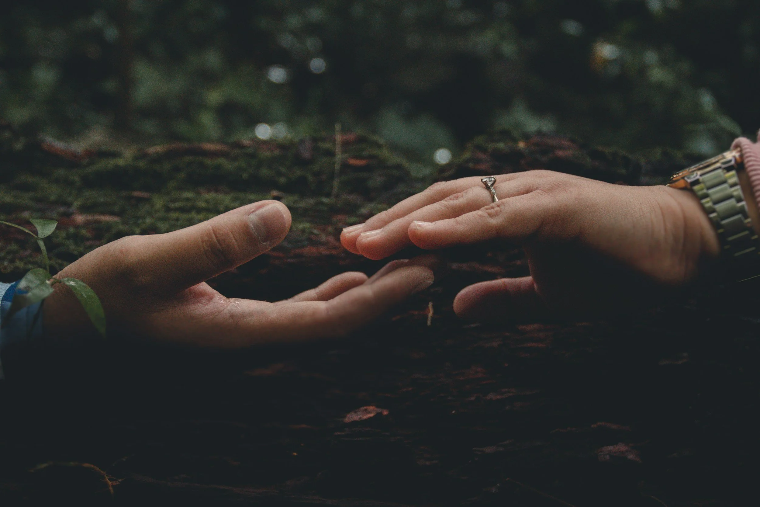 Two hands reaching out to each other over a dark, mossy log in a forest setting, one hand with a ring on the finger.