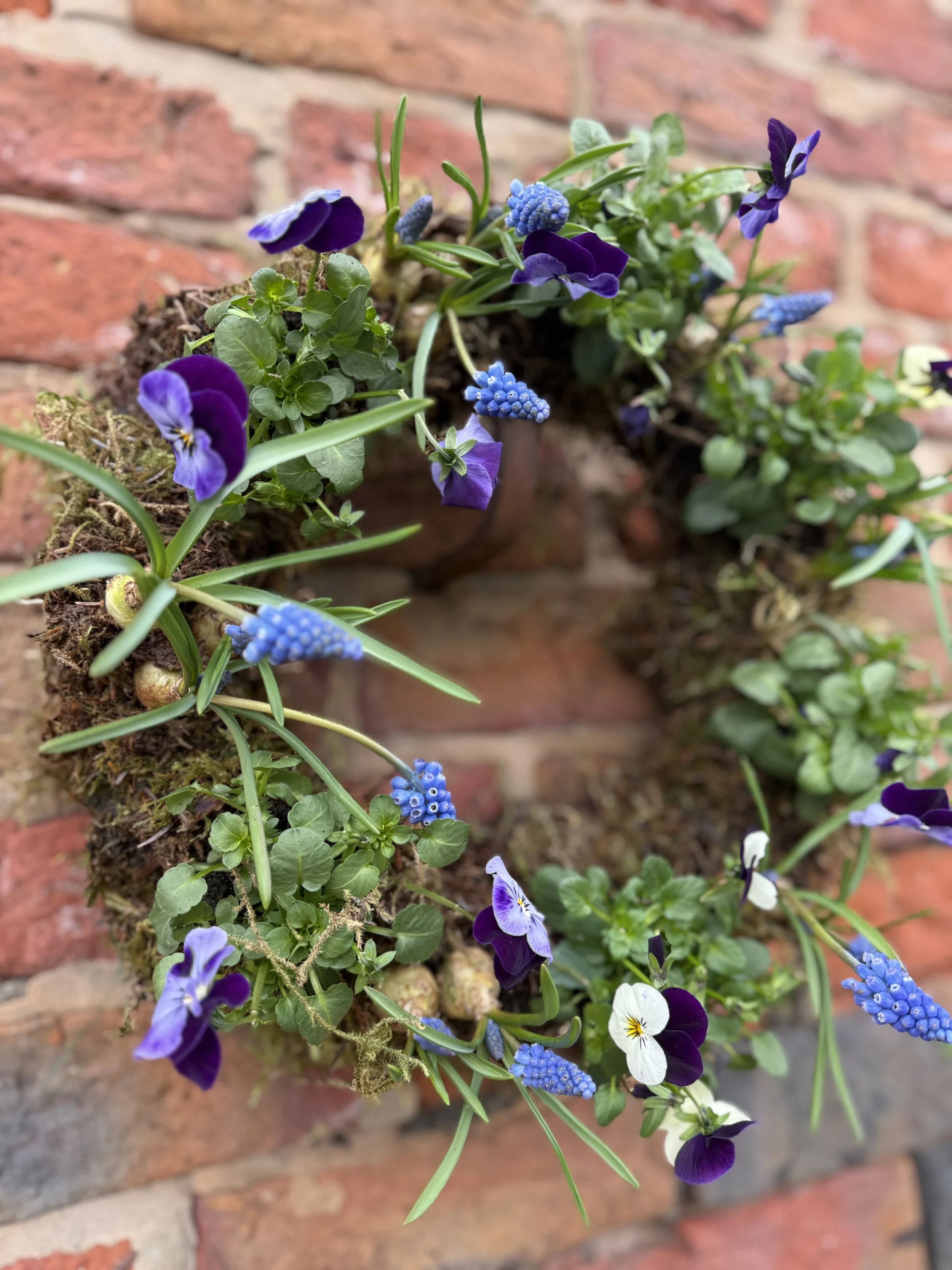 Living spring wreath made with fresh greenery and seasonal plants, arranged on a natural base.