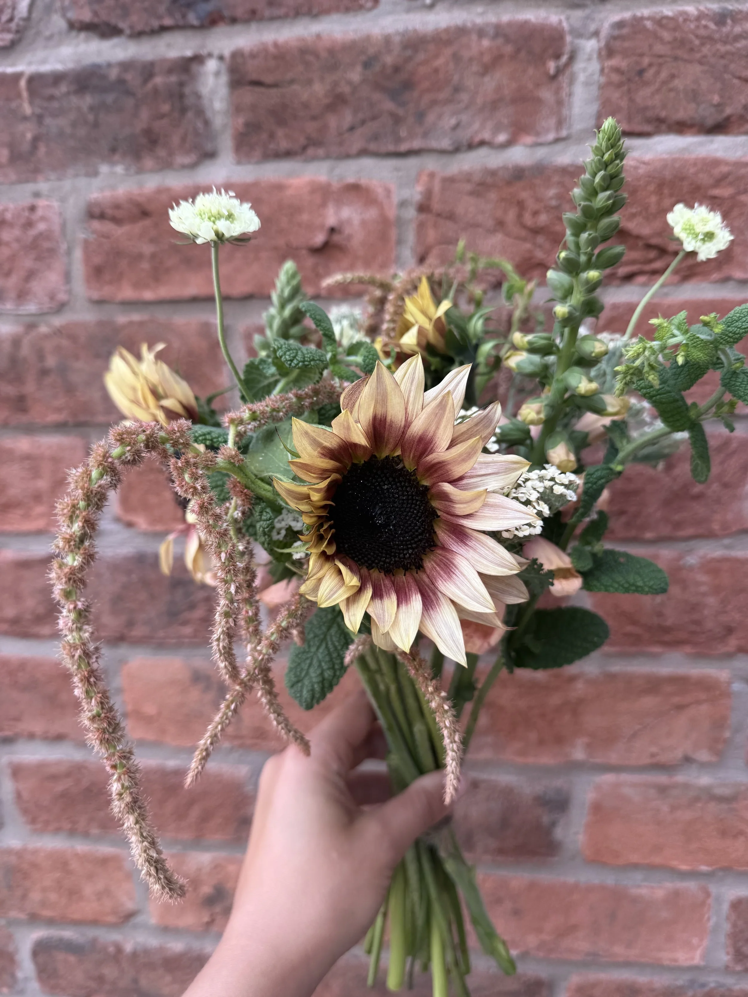 Locally grown posy of Sunflower Amaranth Scabious Snapdragon.
