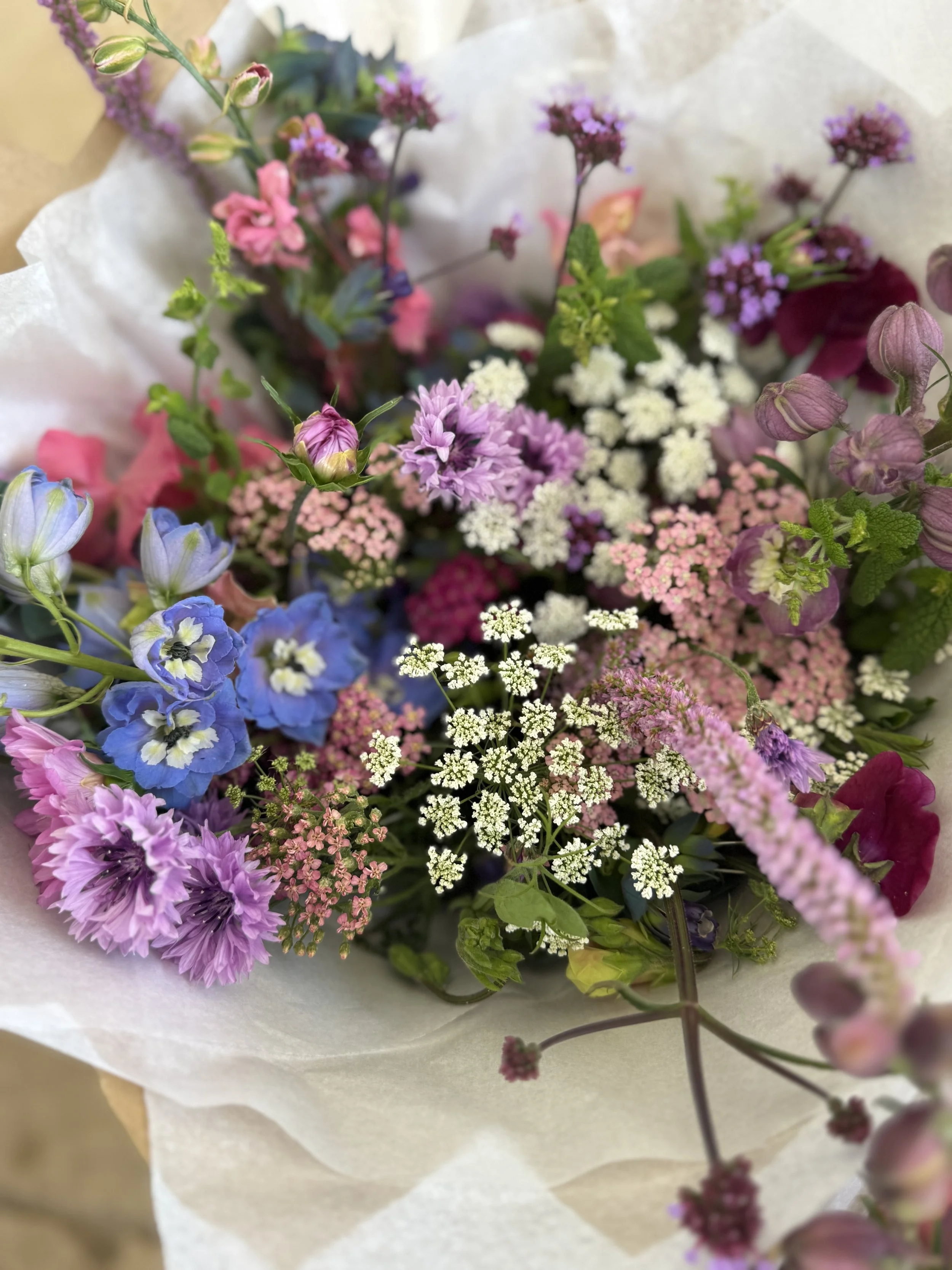 Gift bouquet of flowers from the farm. Cornflower, Larkspur, verbena, Ammi, Statice and Cosmos.