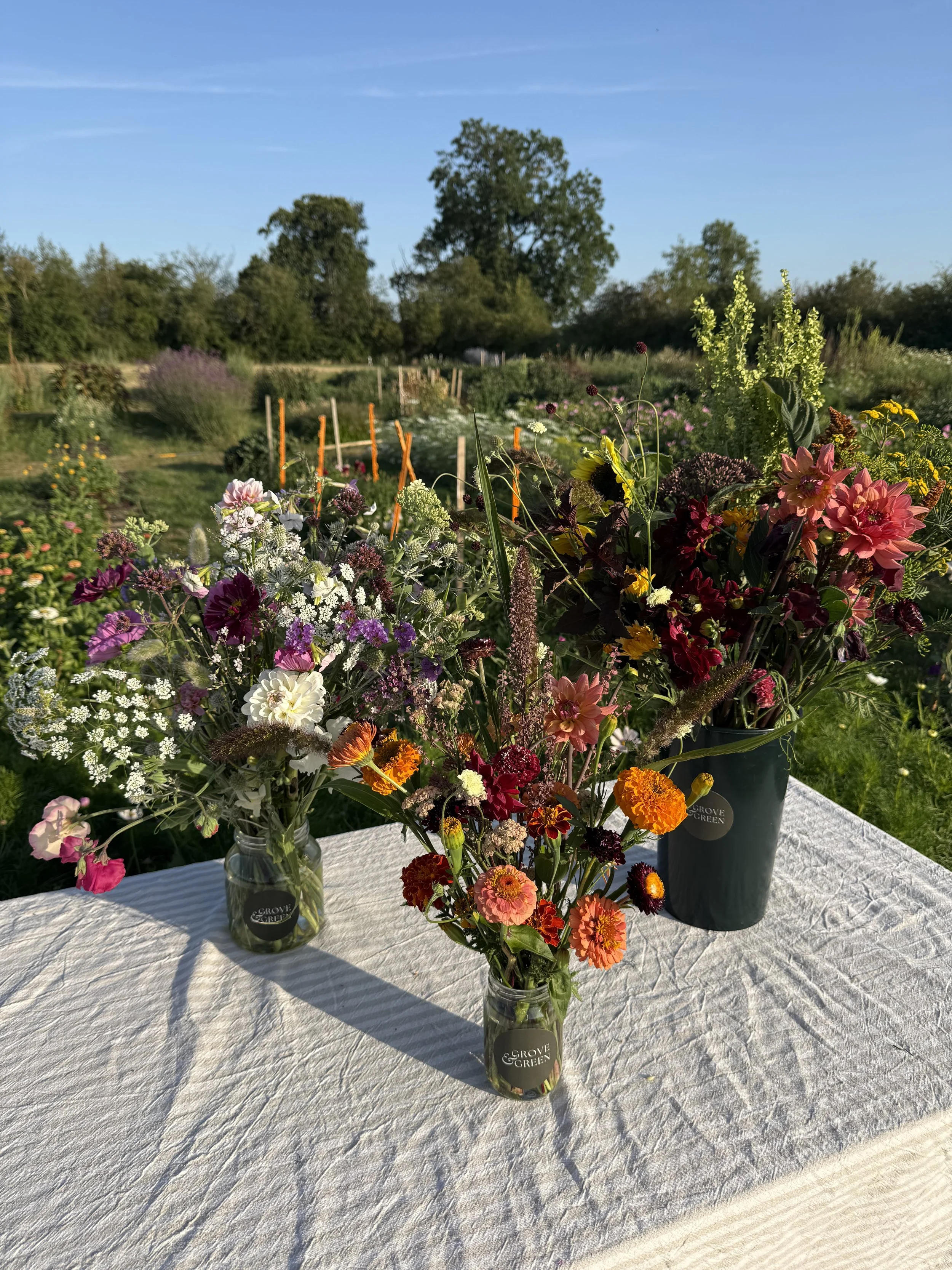 Pick Your Own
