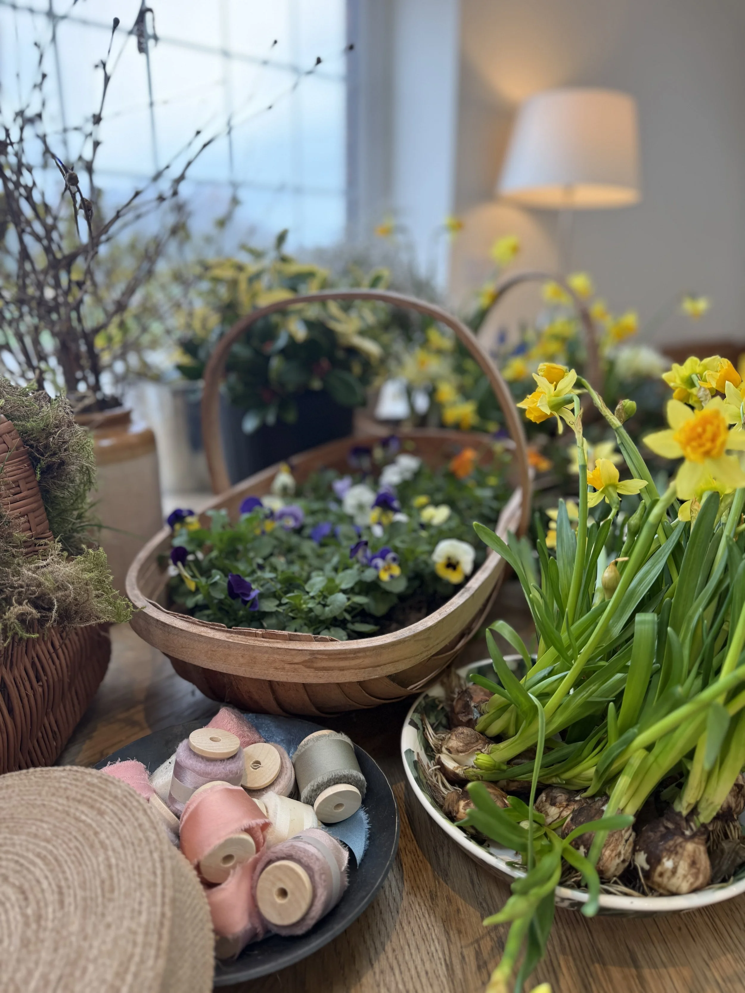 Indoor scene with potted plants and flowers, including pansies and daffodils, on a wooden table near a window with a lamp in the background. There are also spools of thread and a straw hat on the table.