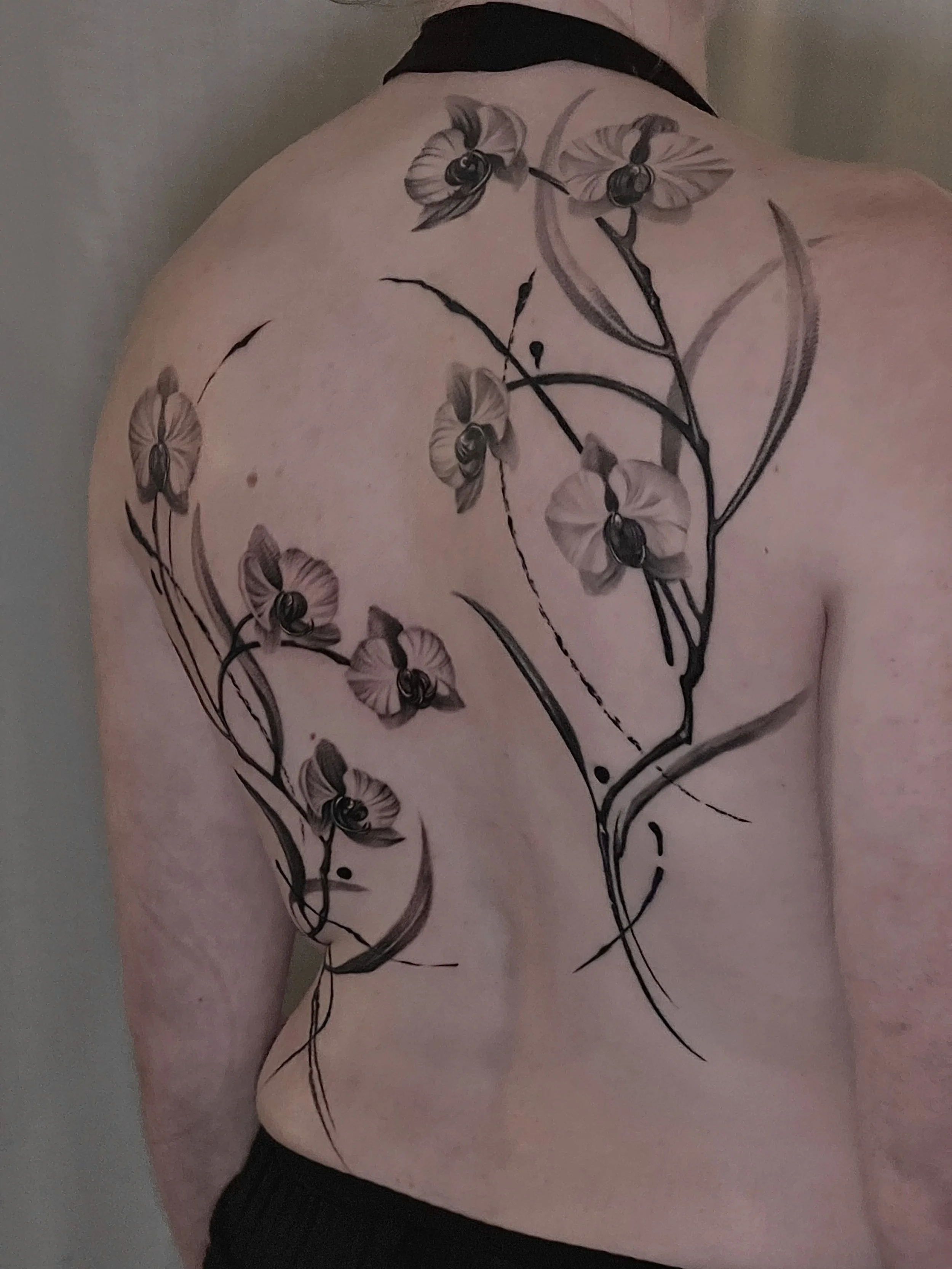 Orchids back composition for Emily. I&rsquo;d love to tattoo more pieces in this style! 

Done over 2 sessions, right side healed, left side fresh 

Made at @sevensaintstattoo
