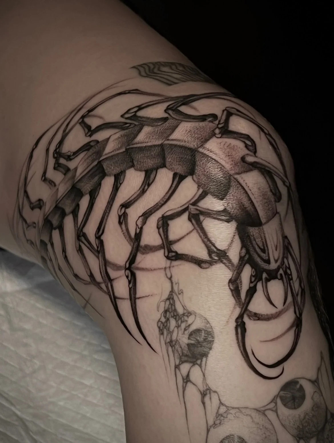 Big centipede for Paris. Thank you for sitting so well for a tough spot! 

Made at @sevensaintstattoo