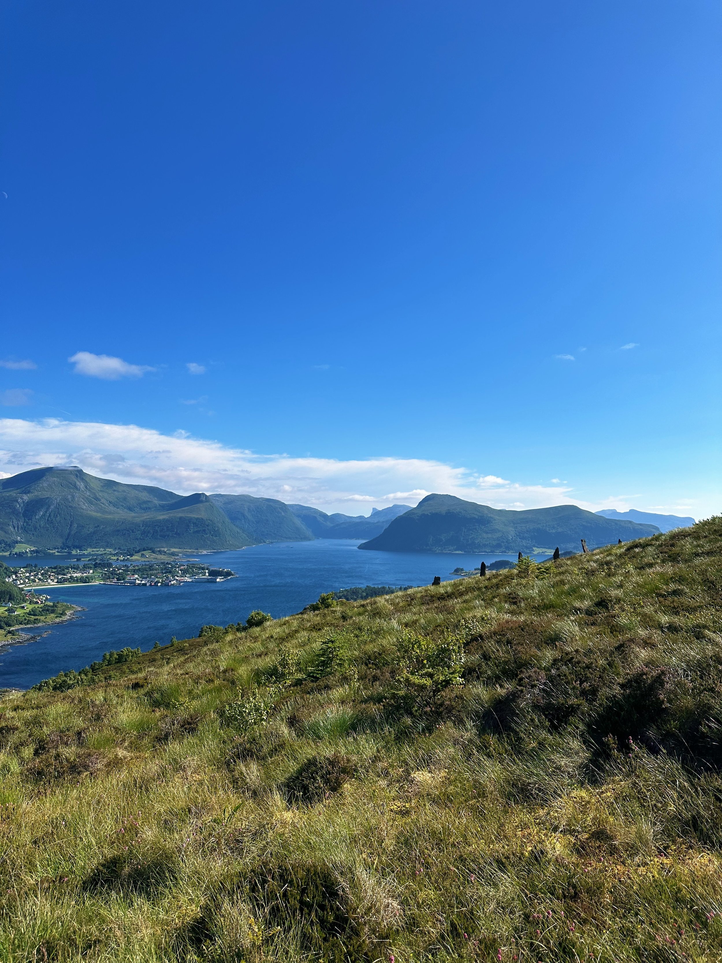 3E1A7B39-CB56-4BCC-9077-6A8D1EDE1BD7.jpg