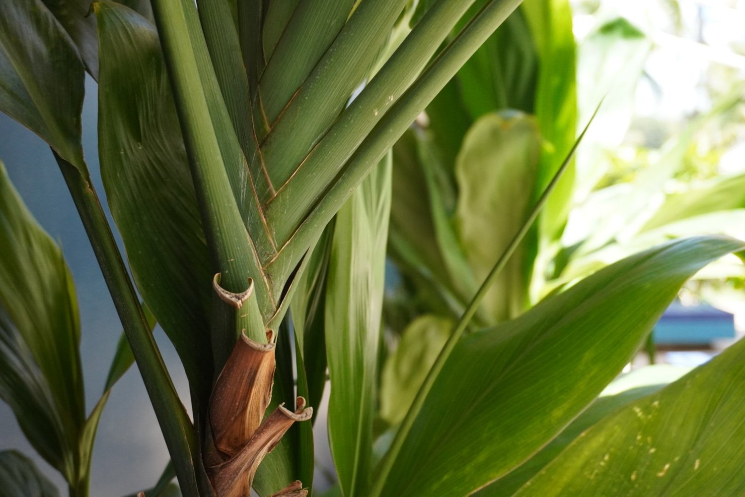 state-approved-hawaii-healthcare-school-nurse-aide-cna-first-aid