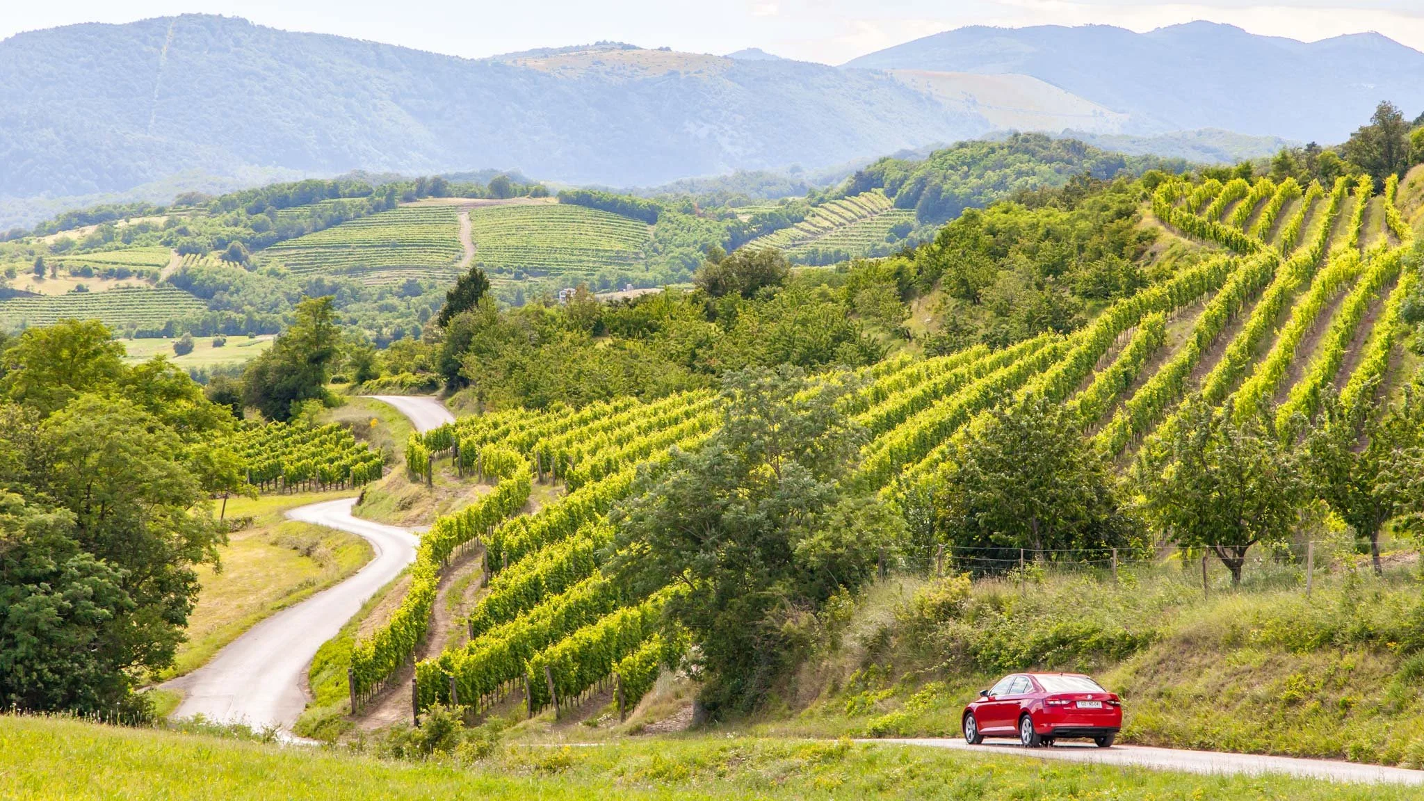 Vipava Valley, Slovenien
