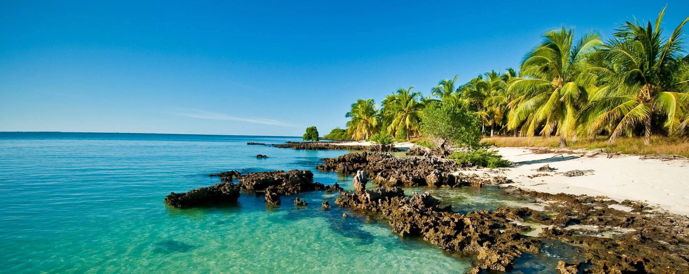 BANNER_Stock_Mozambique_Quirimbas_JustinFox.jpg