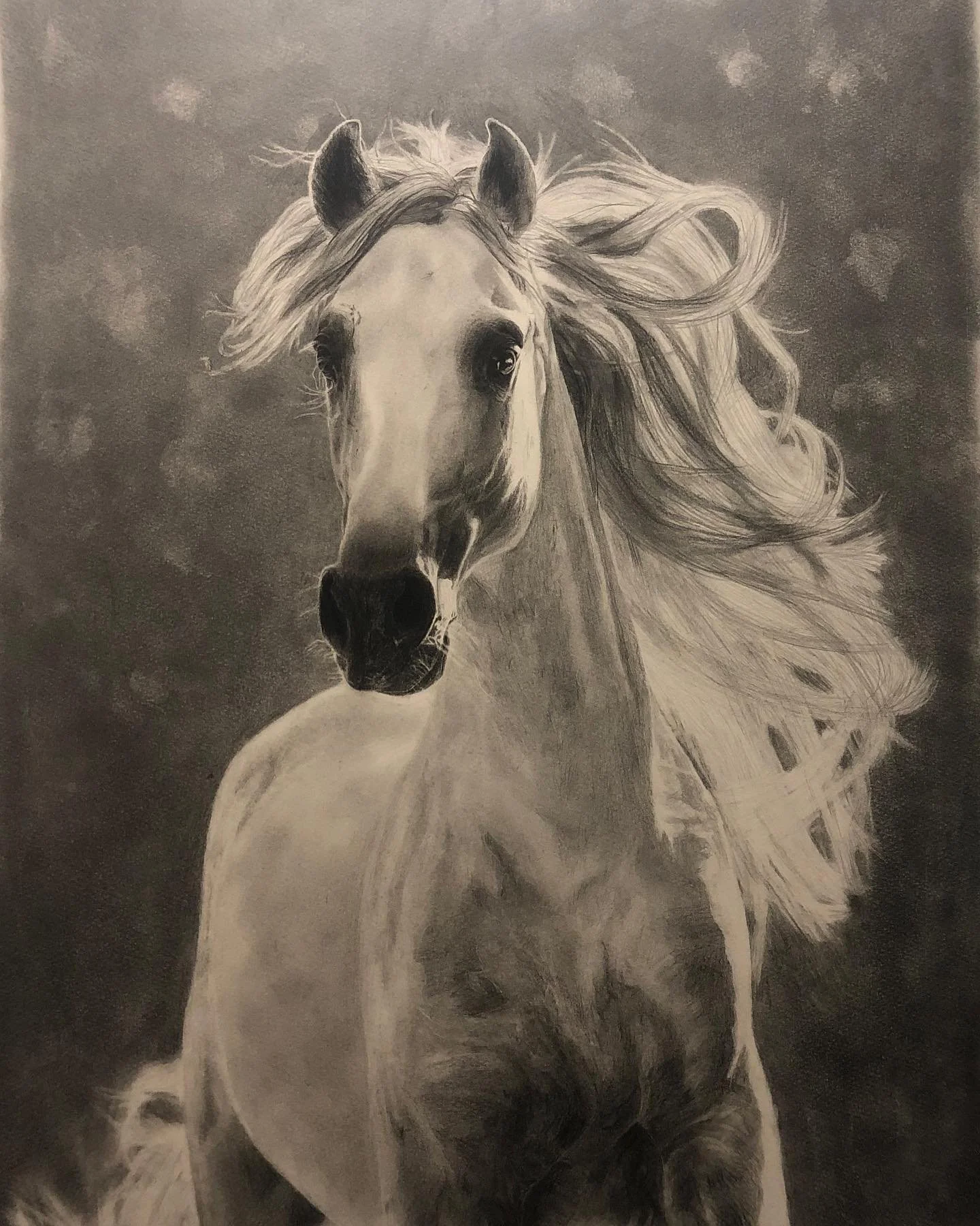 Graphite dust, lead pencil and black pencil ✏️ &hellip; I had a beautiful dream about a white horse and wanted to draw what I saw&hellip; it was about inner healing and I&rsquo;ve never forgotten it ❤️ 
#pencildrawing #horsedrawing #leadpencil #anima