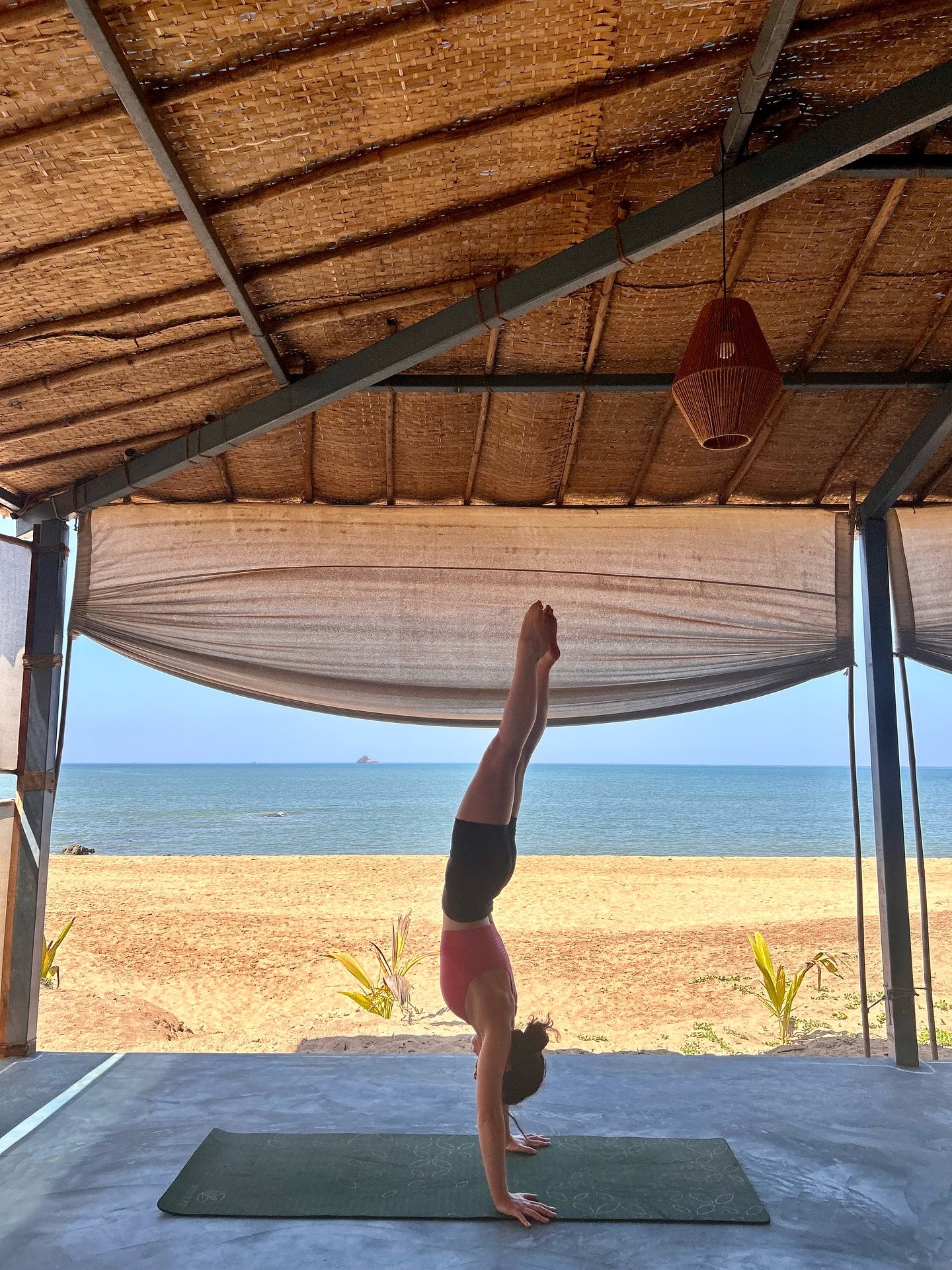 2 years ago I flew to Goa to join @grownandforaged on her yearly India retreat. It was my first time in India and I fell in LOVE. The food, the beaches, the people and of course the yoga was all so magical. 

I cannot believe that I now have the oppo