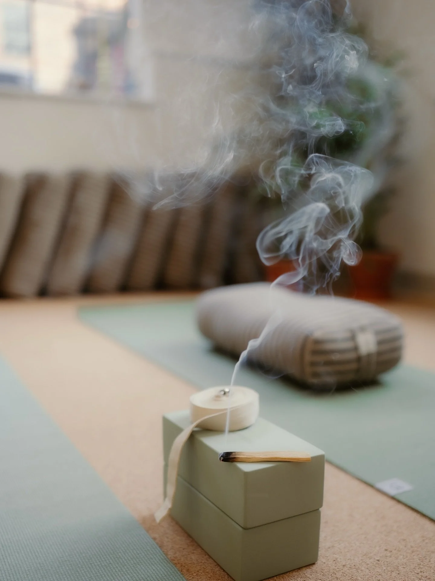 SPRING IS COMING
Join us on Friday for a special practice of 108 sun salutations to welcome in Spring. 108 is considered a sacred number and practicing 108 sun salutations is believed to bring a sense of completeness and connection. Practice at your 