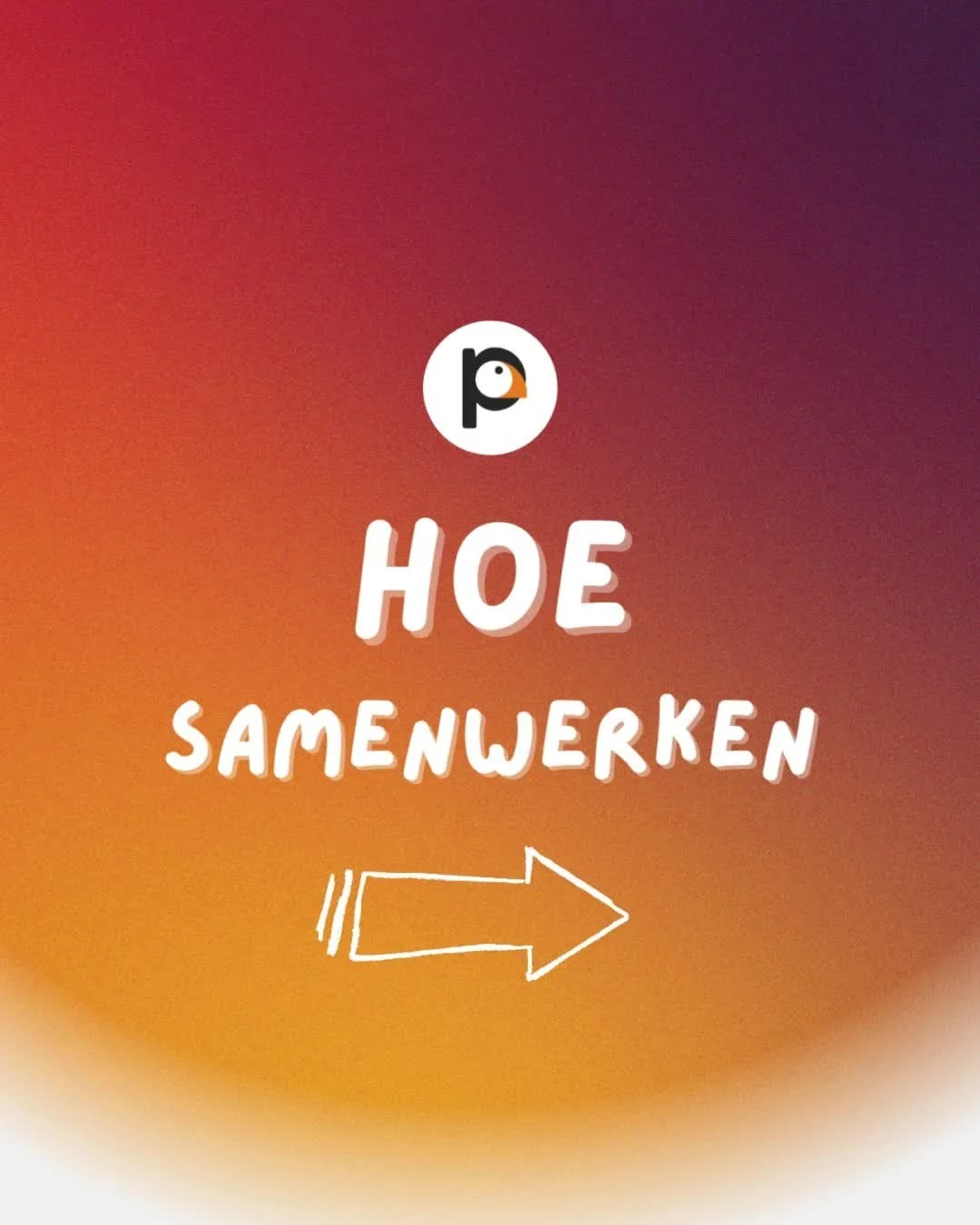 Ik weet dat er verschillende manieren zijn om samen te werken. 👌 Hoe ik het liefst te werk ga? Correct én efficiënt. 👍 Swipe verder en ontdek in 7 korte stappen wat je mag verwachten. Heb je vragen? ❔Wees vooral niet verlegen – ik