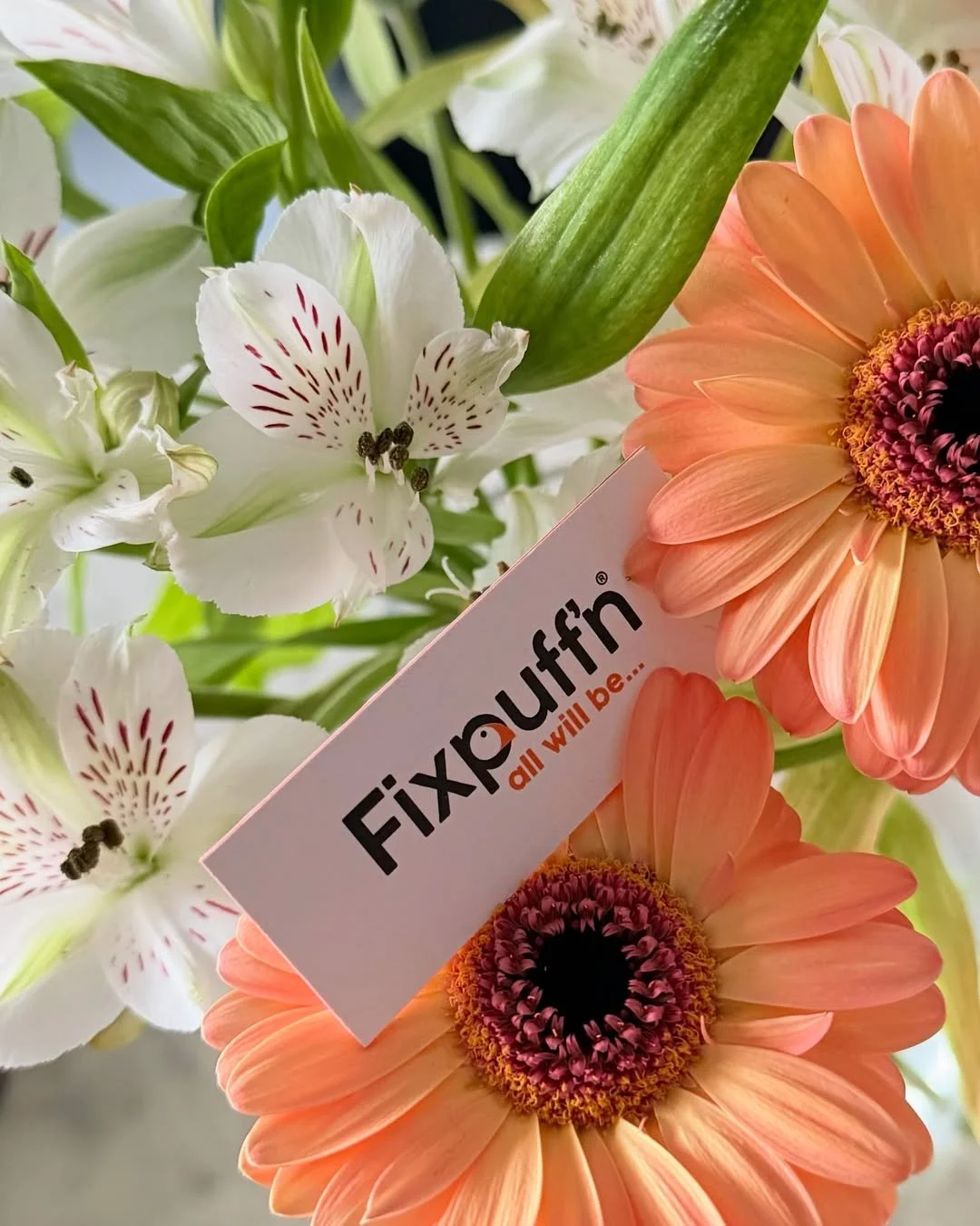 Bloei met FixPuffin! Ontdek creatieve visualisaties en marketingkracht. 🌸✨