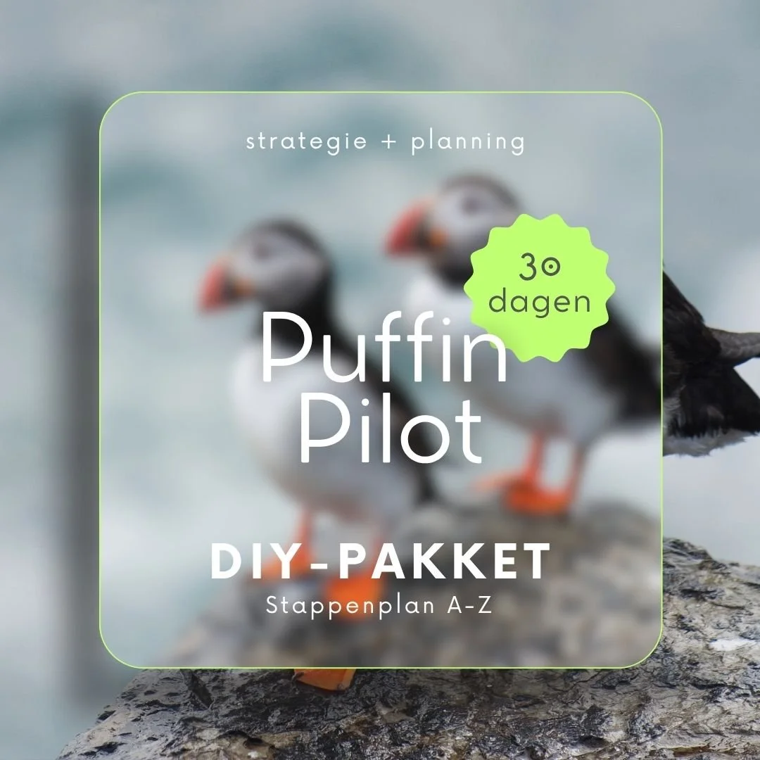 QuickFix met Puffin Pilot