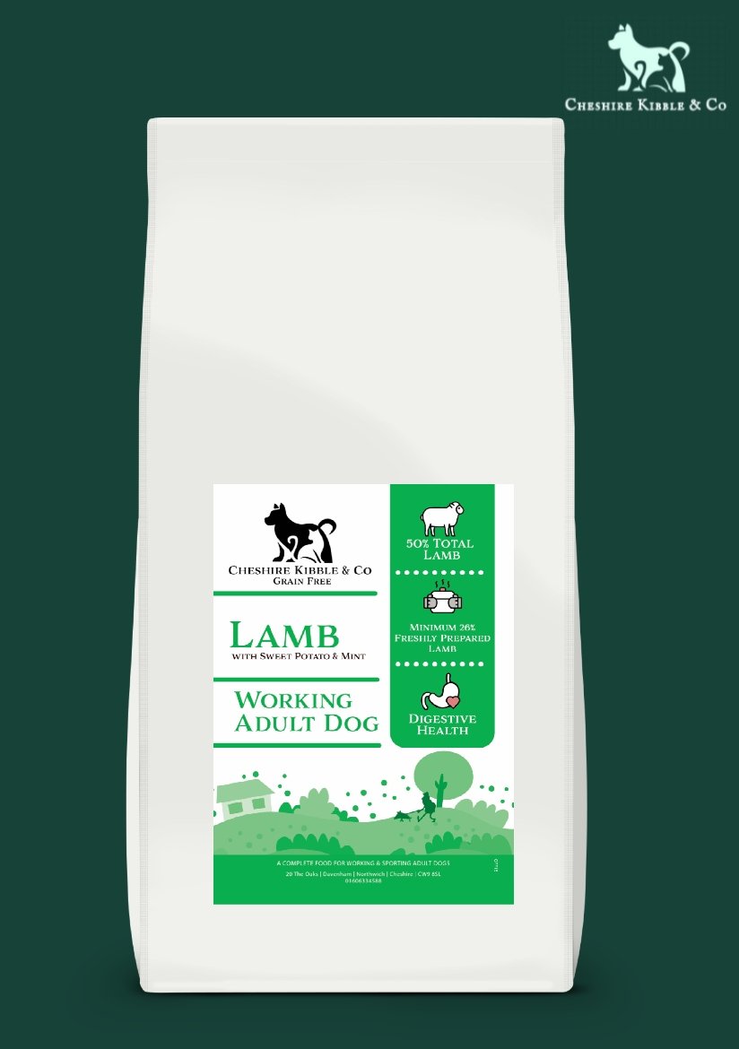 lamb dog.jpg